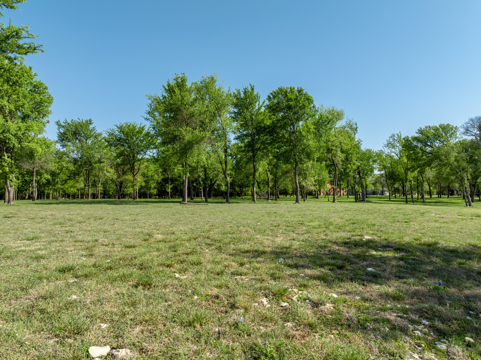 1629 White Bluff Drive Whitney TX 76692