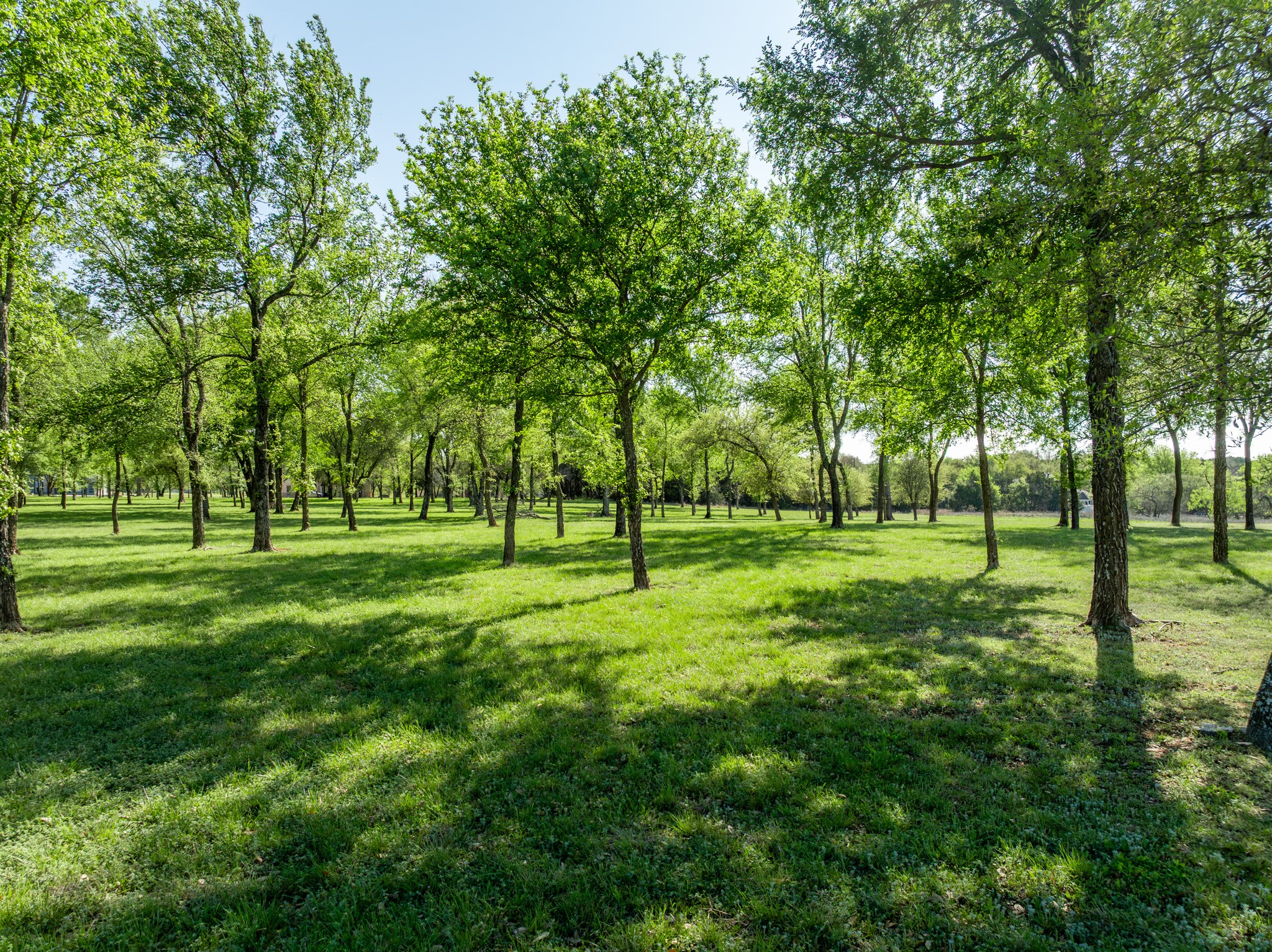1629 White Bluff Drive Whitney TX 76692