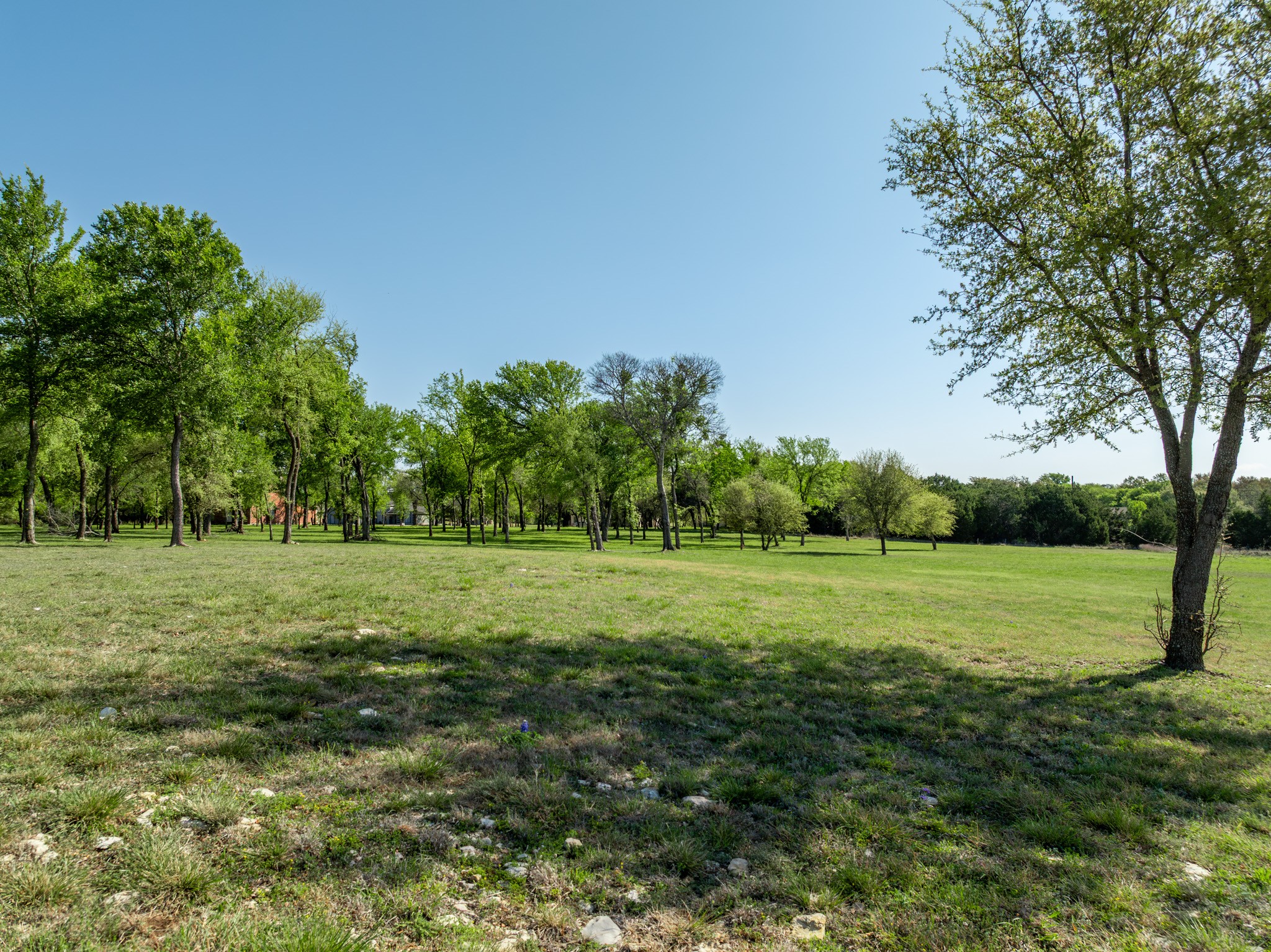 1629 White Bluff Drive Whitney TX 76692
