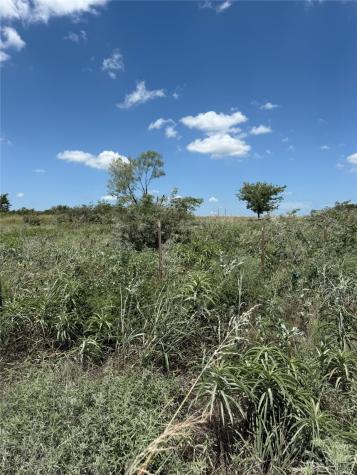 Tbd Cr 410 Gainesville TX 76240
