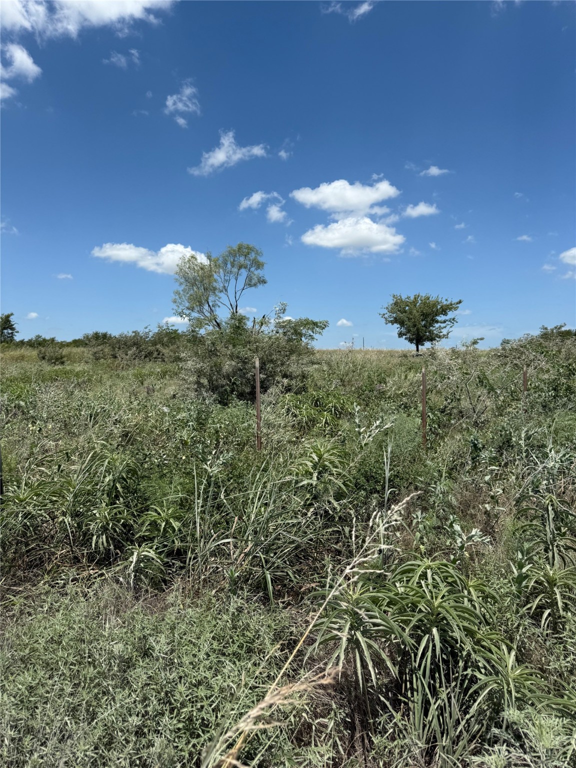 Tbd Cr 410 Gainesville TX 76240