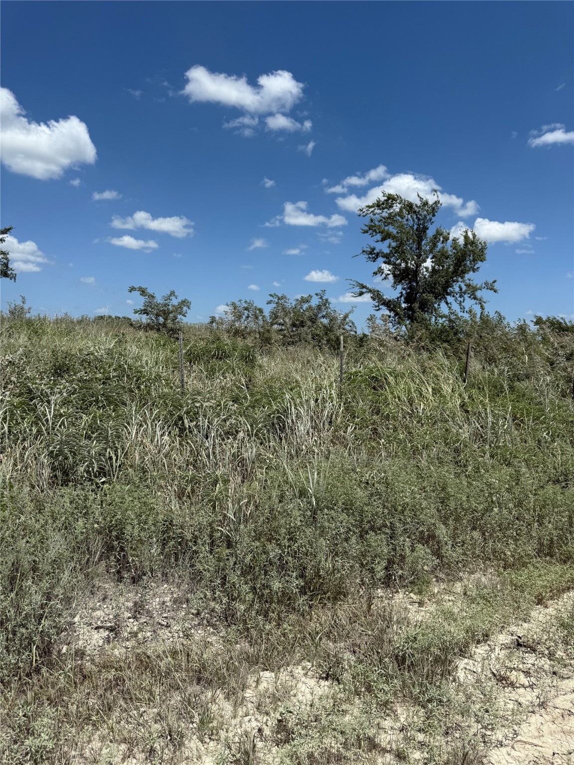 Tbd Cr 410 Gainesville TX 76240