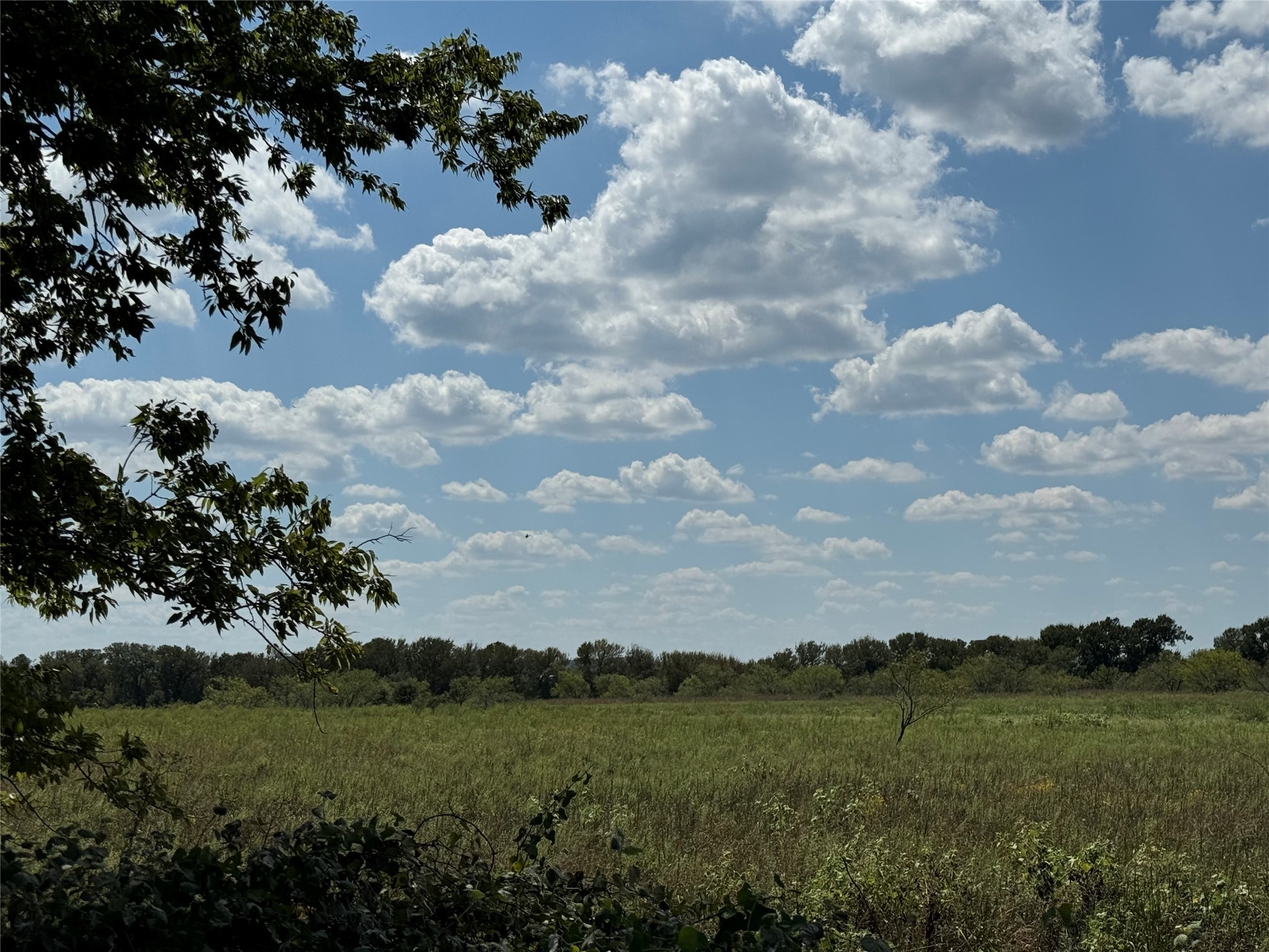 TBD2 County Road 1240 Cleburne TX 76033