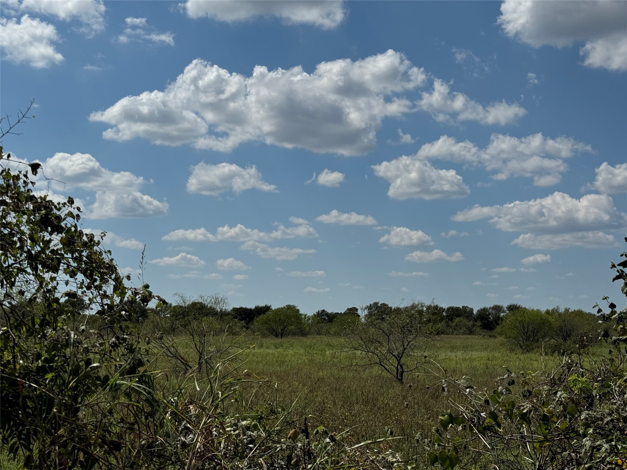 TBD2 County Road 1240 Cleburne TX 76033