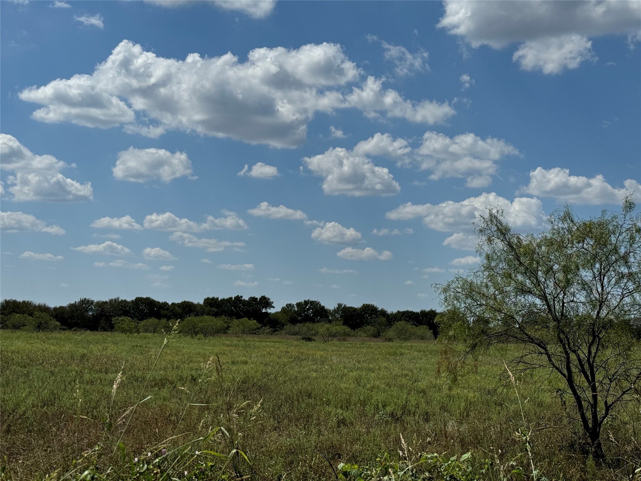 TBD2 County Road 1240 Cleburne TX 76033