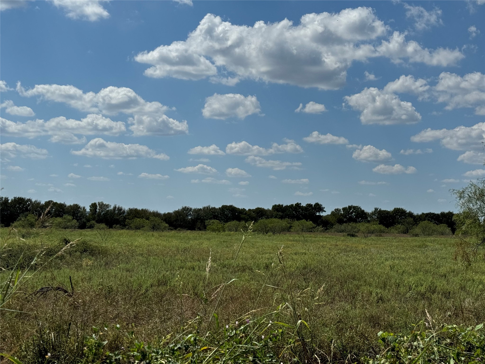 TBD2 County Road 1240 Cleburne TX 76033