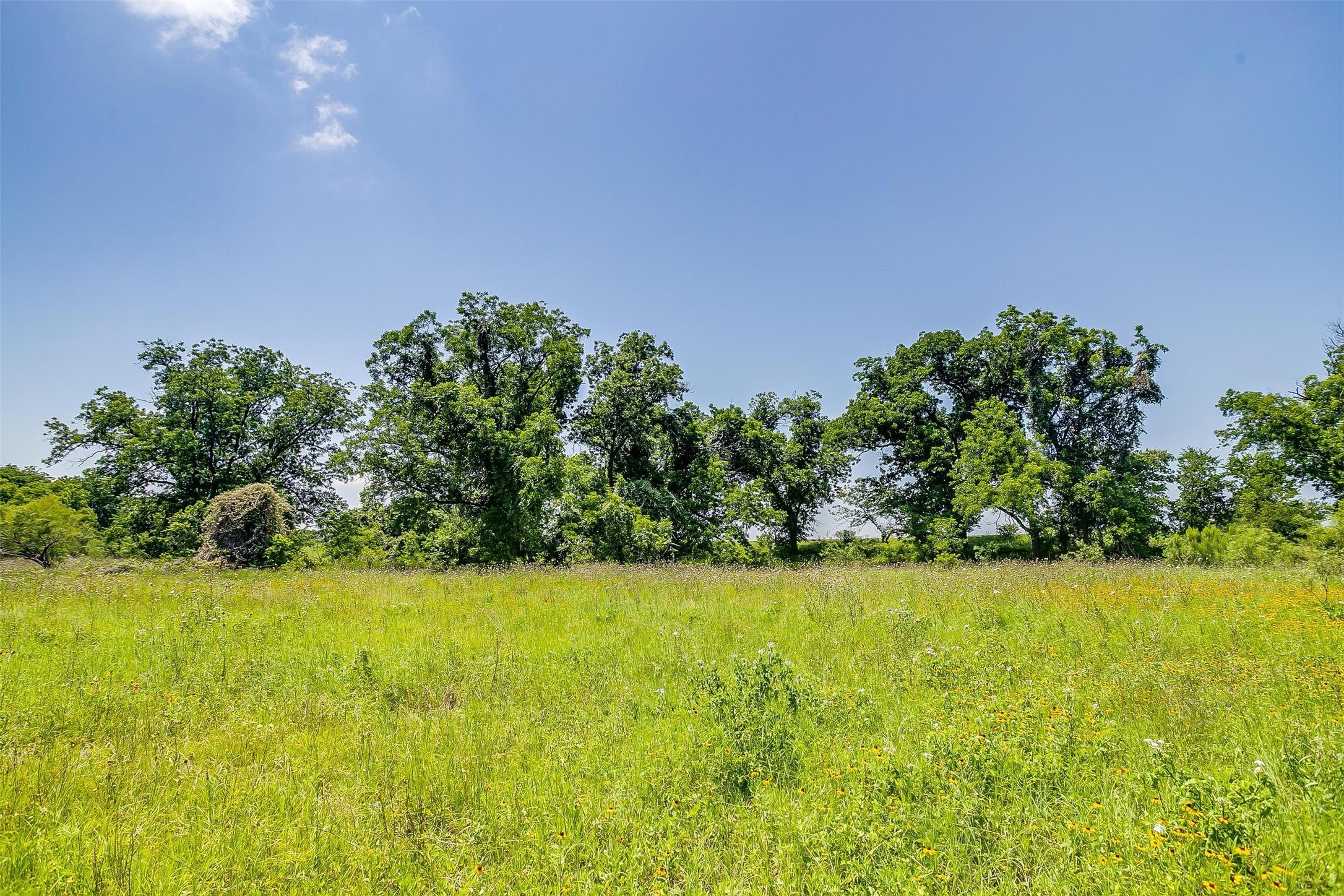 1152 County Road 317 Rainbow TX 76077
