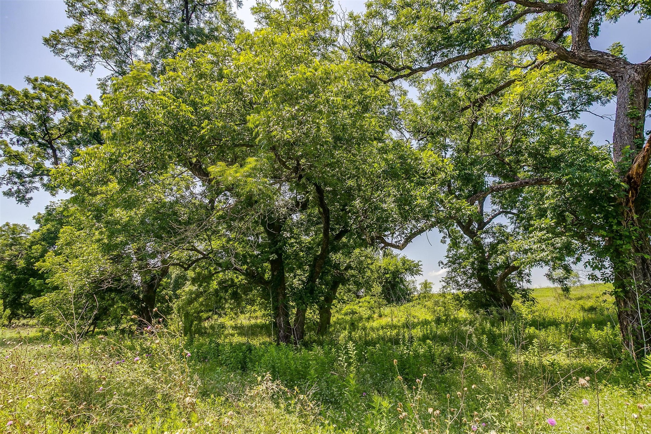 1152 County Road 317 Rainbow TX 76077