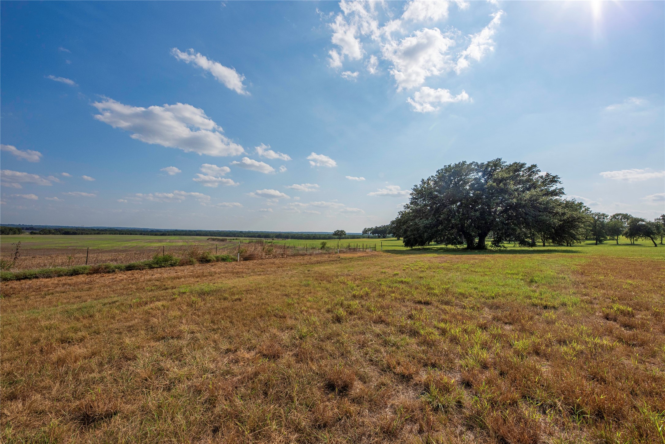 11157 State Highway 36 Jonesboro TX 76538