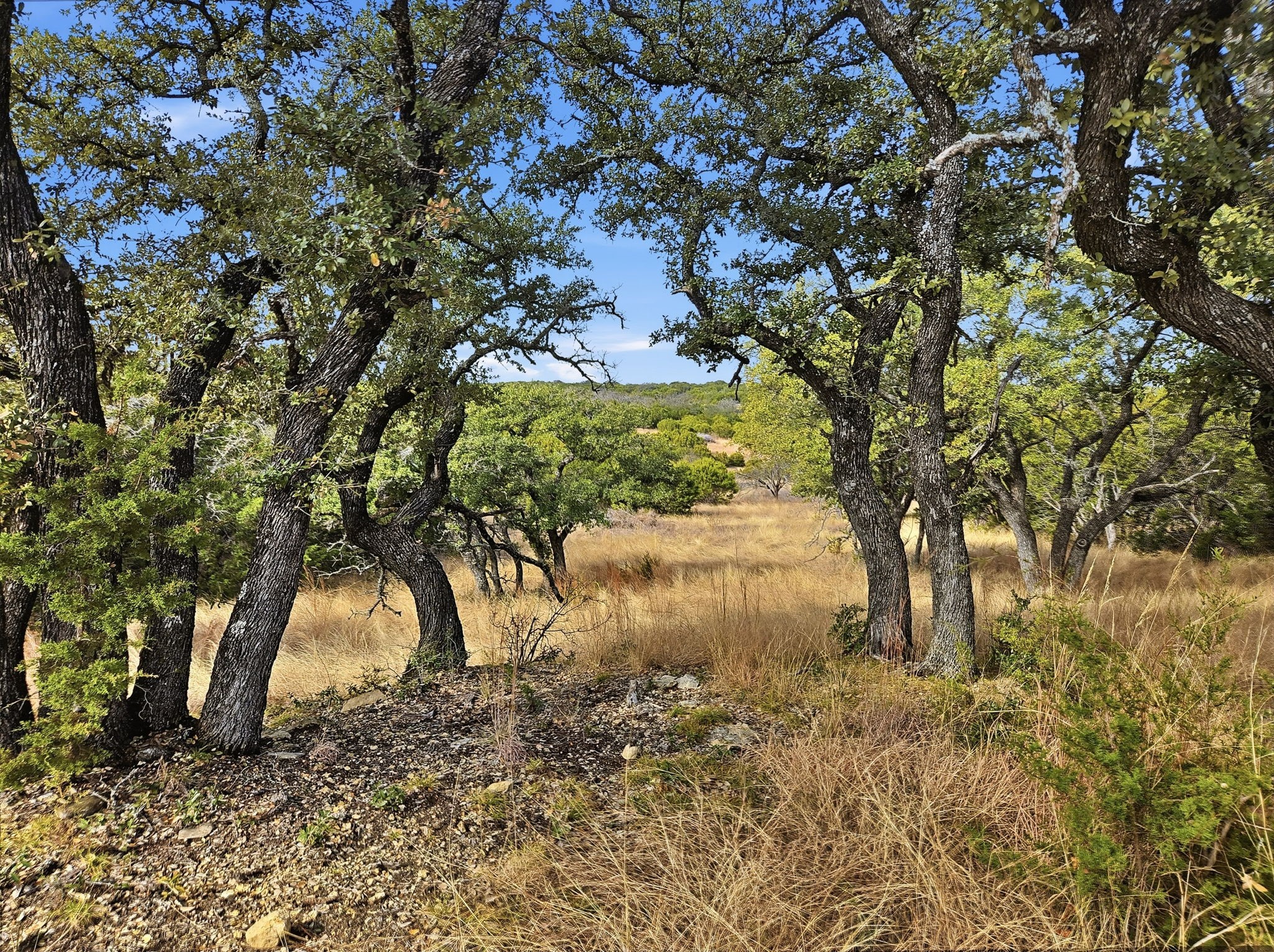 Tbd County Road 162 Evant TX 76525