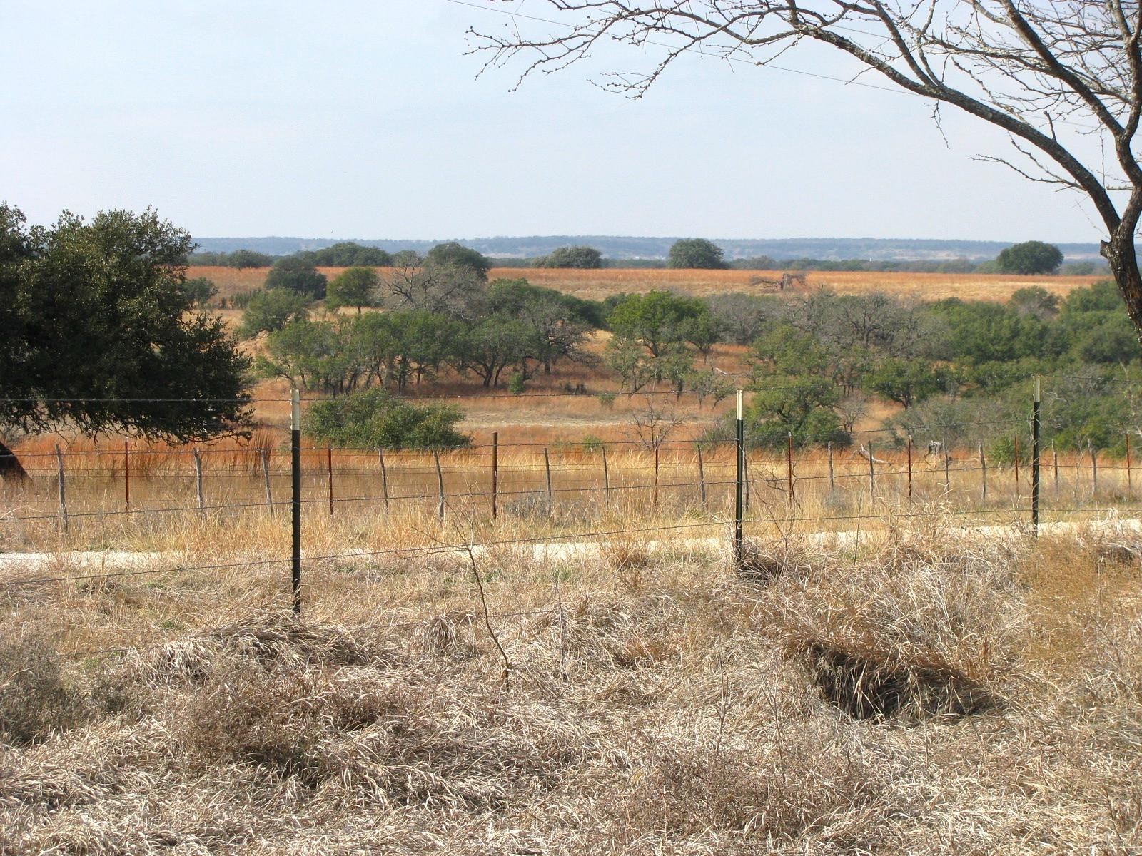 Tbd County Road 162 Evant TX 76525