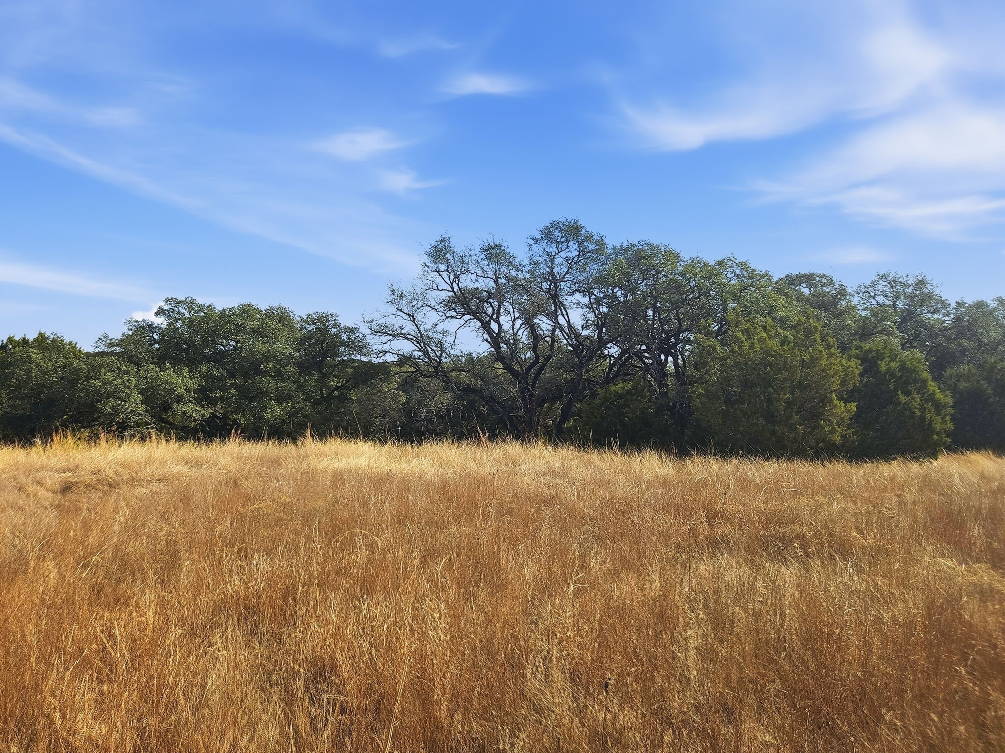 Tbd County Road 162 Evant TX 76525