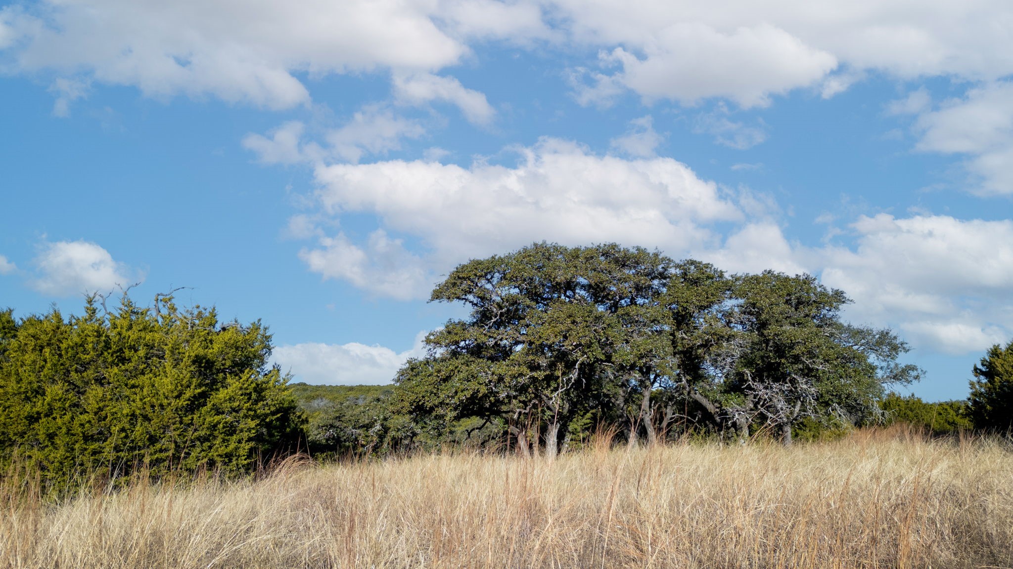 Tbd County Road 162 Evant TX 76525