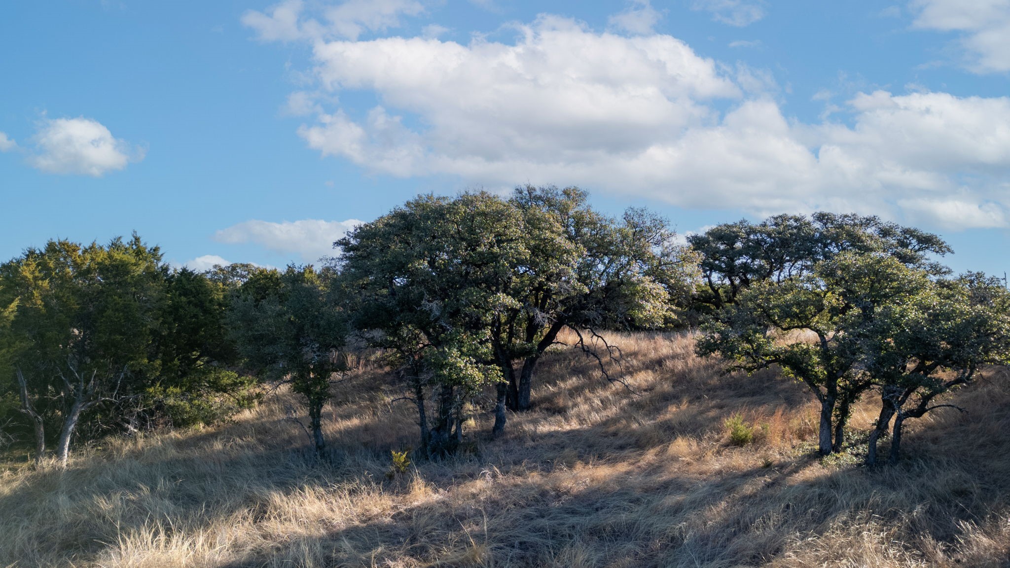 Tbd County Road 162 Evant TX 76525