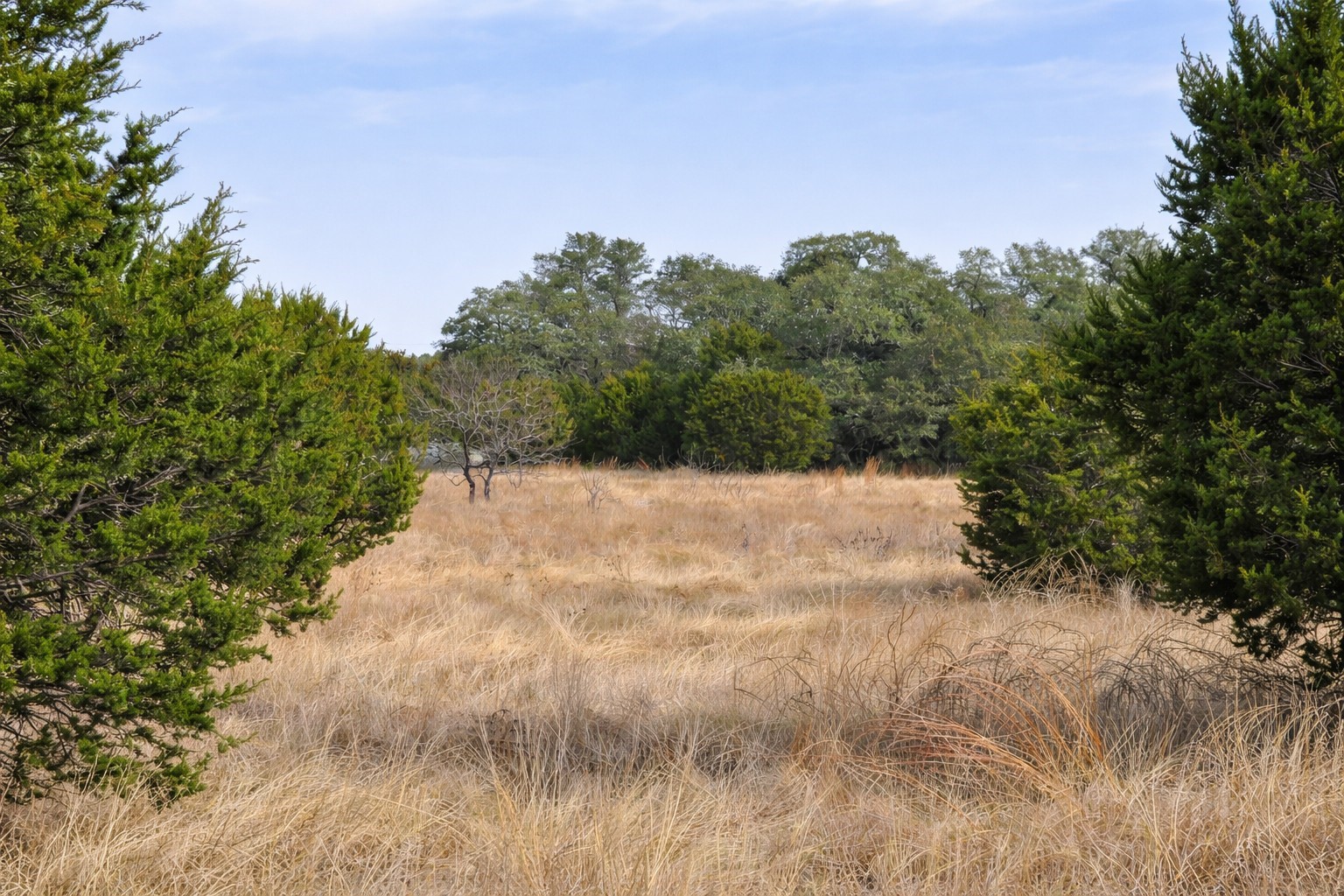 Tbd County Road 162 Evant TX 76525