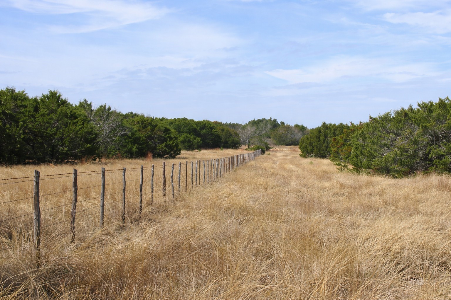 Tbd County Road 162 Evant TX 76525