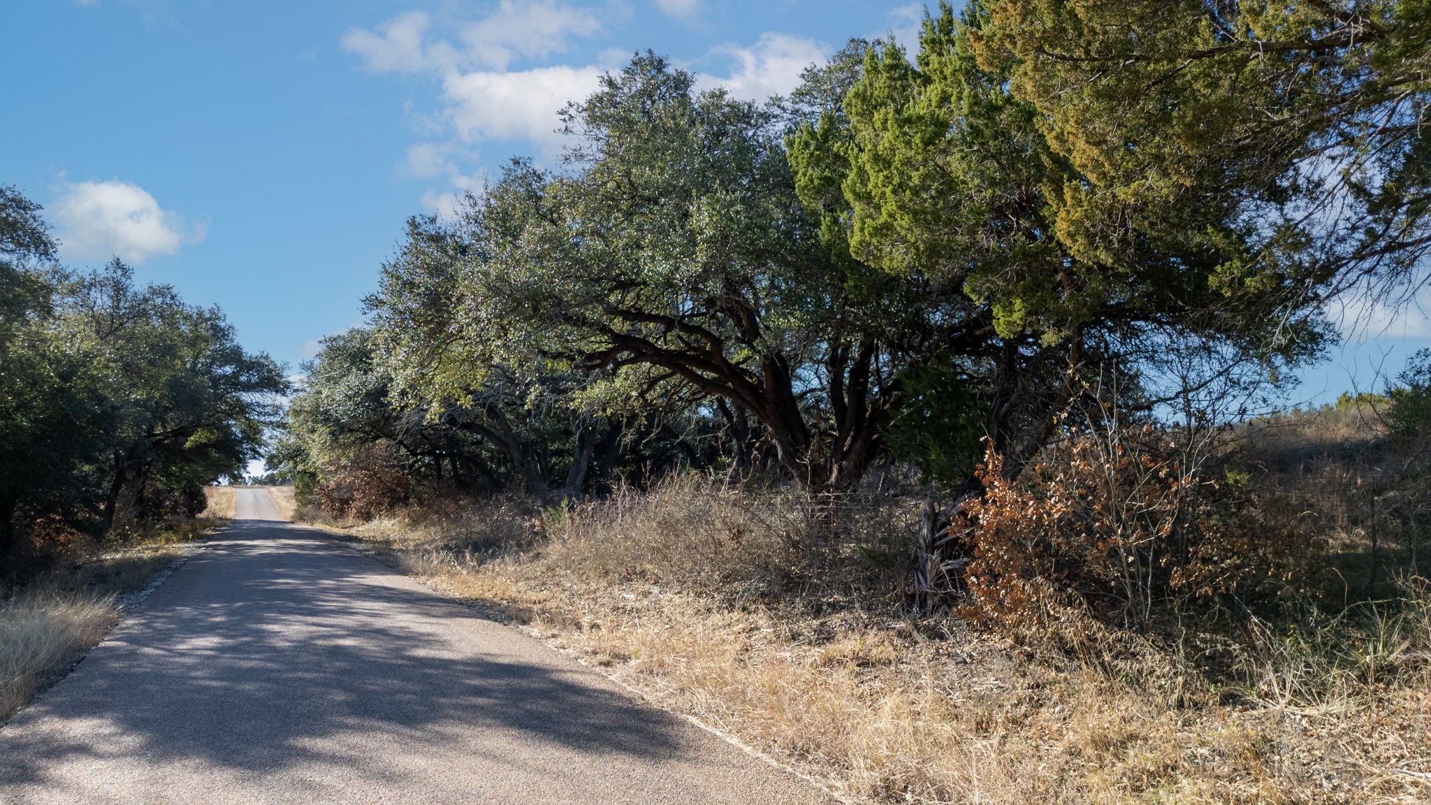 Tbd County Road 162 Evant TX 76525