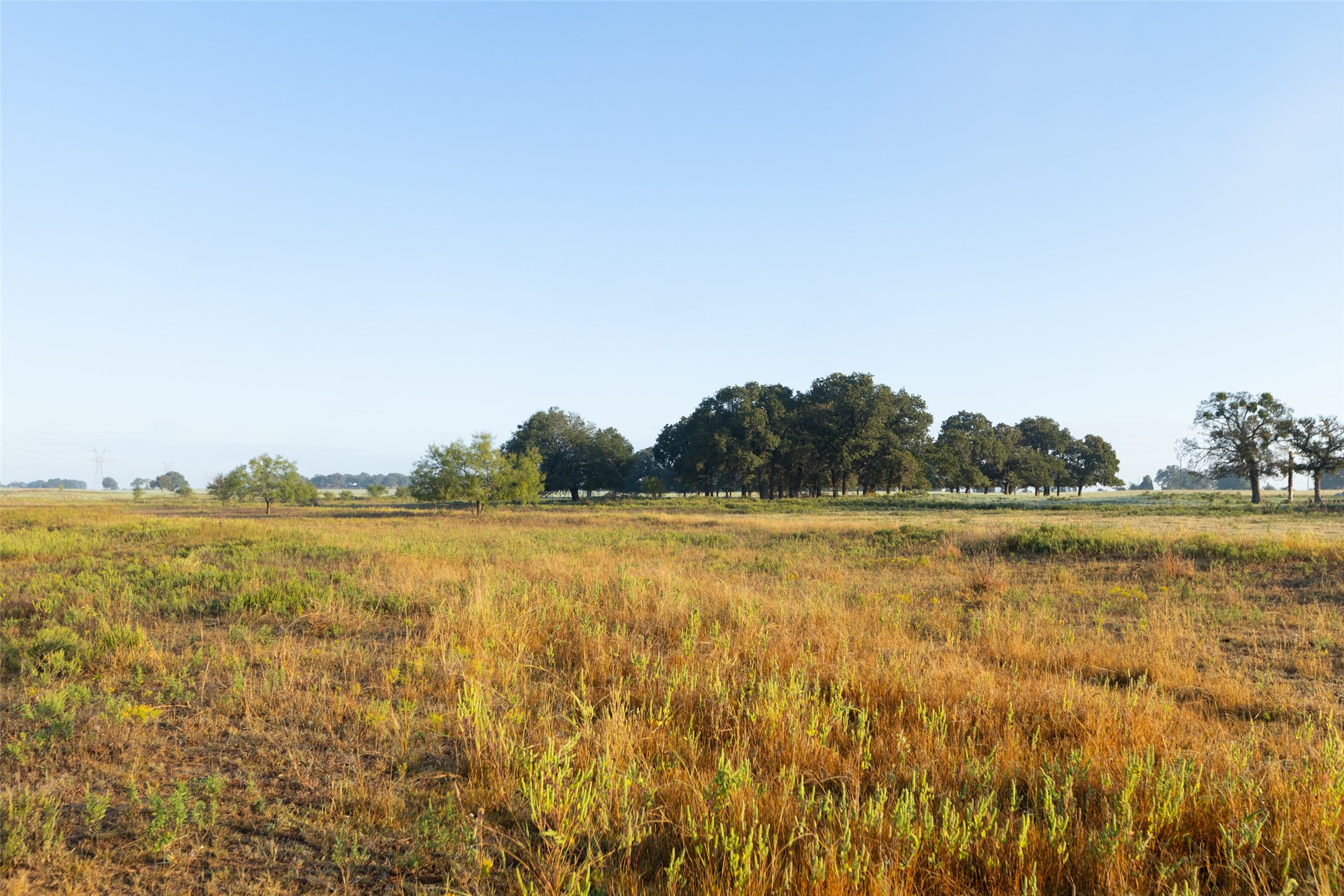 Tbd Brushy Road Granbury TX 76048