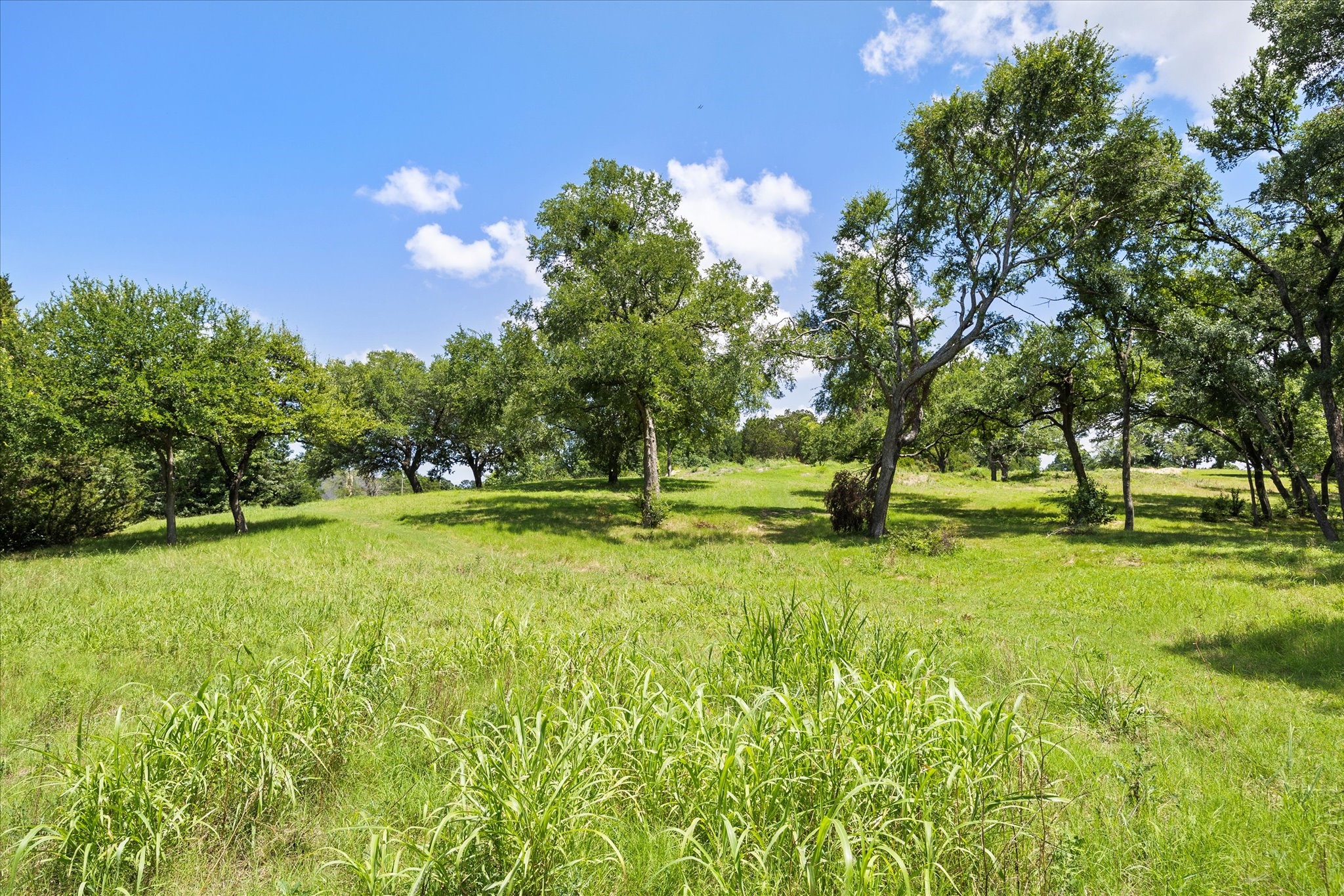 709 Smirl Drive Heath TX 75032