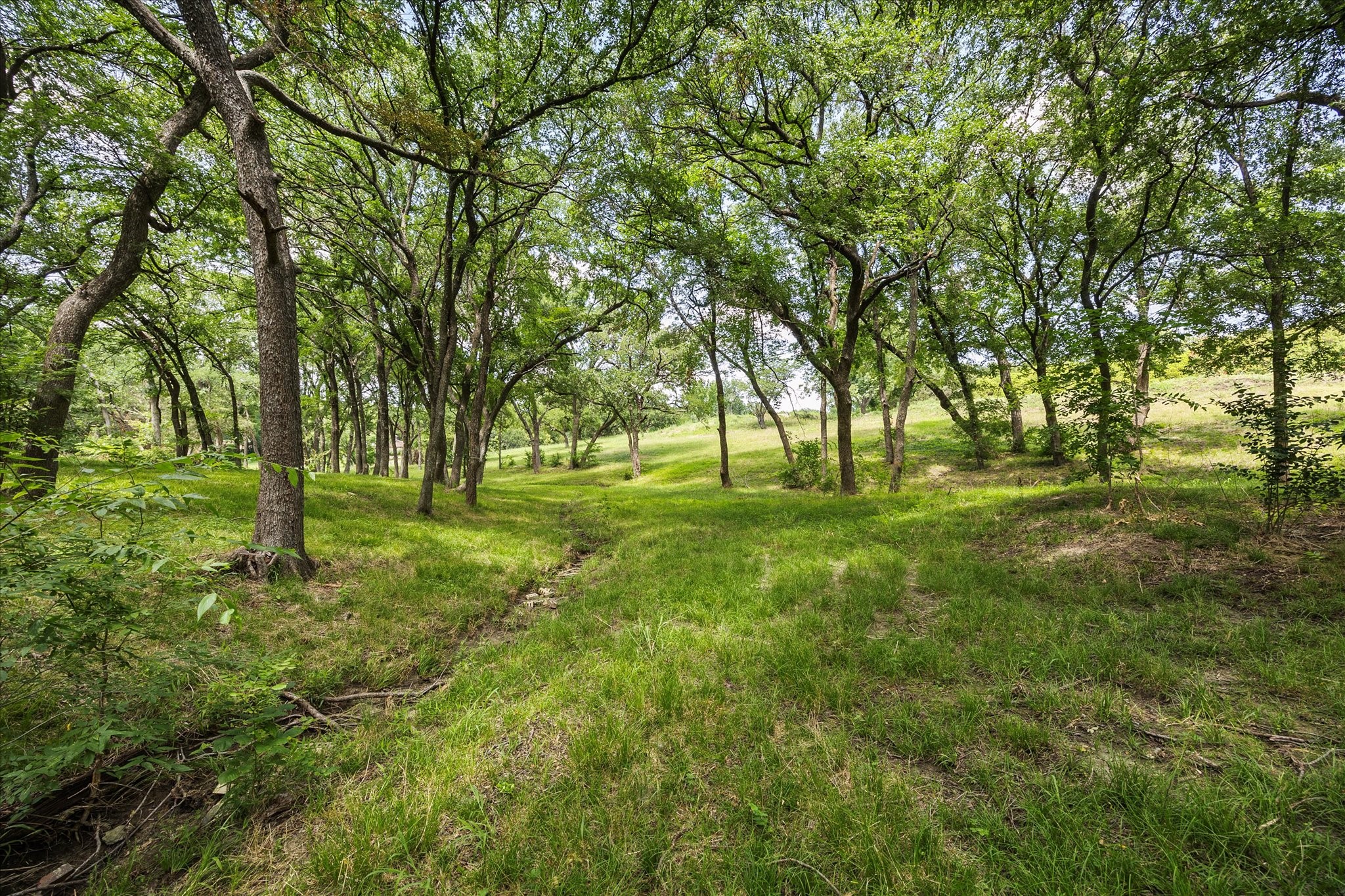 709 Smirl Drive Heath TX 75032