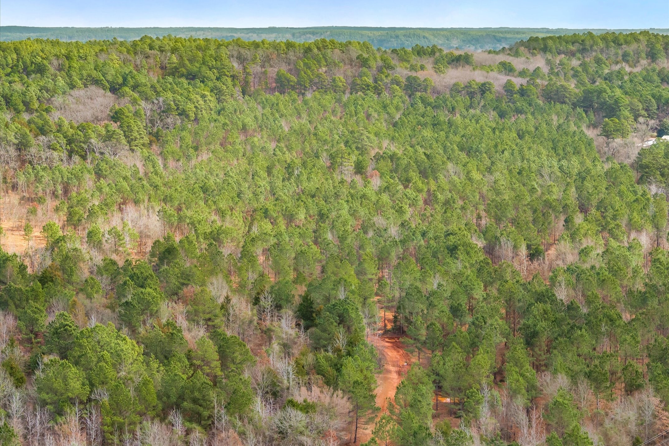 00 Fm-144 Daingerfield TX 75638