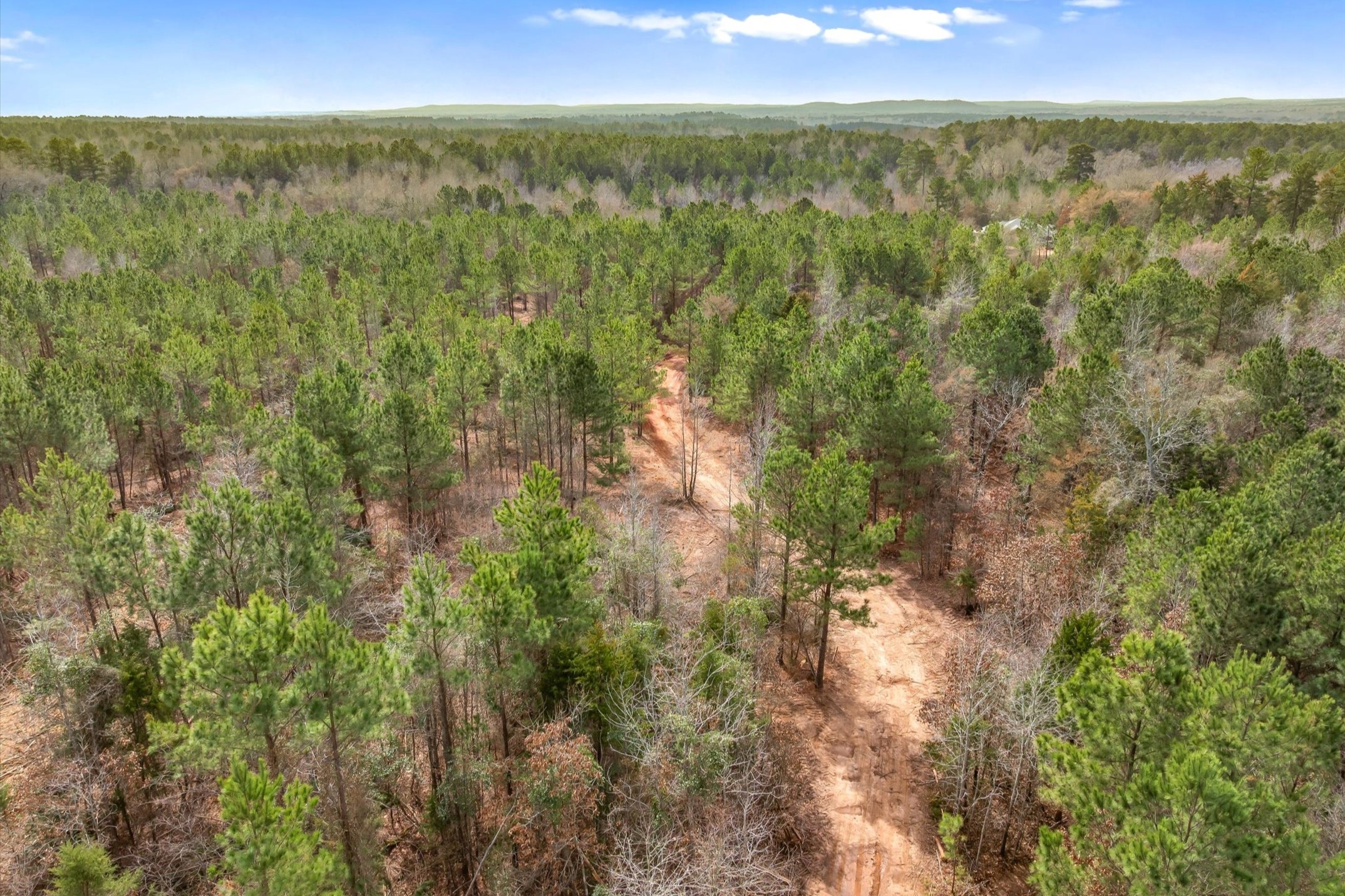 00 Fm-144 Daingerfield TX 75638
