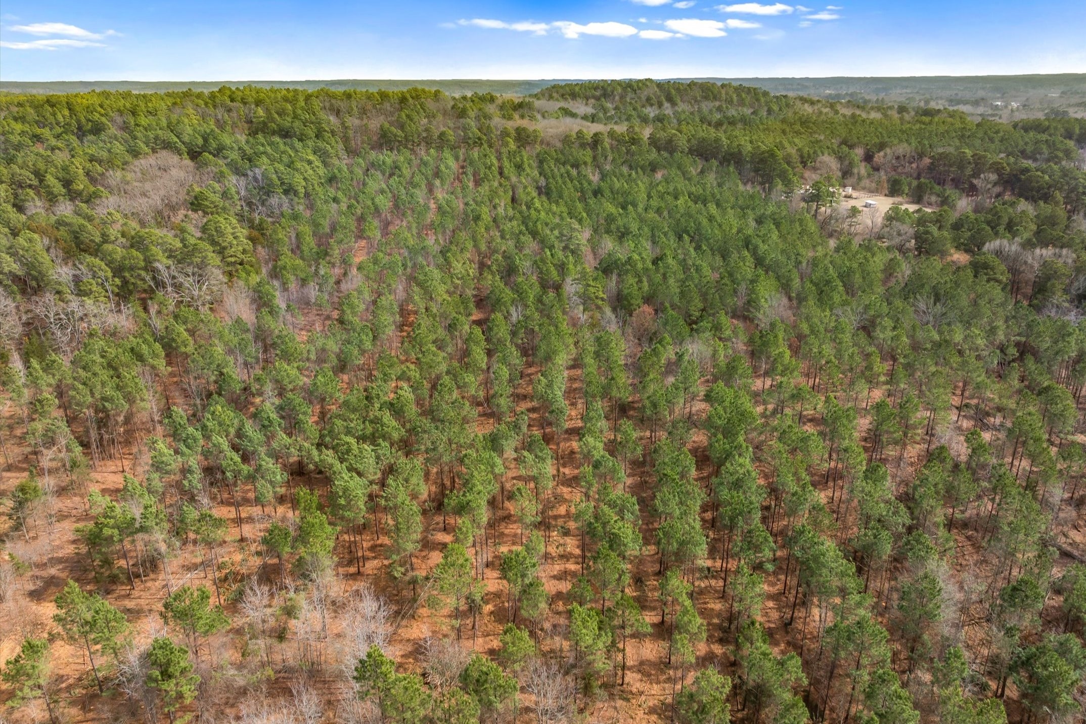 00 Fm-144 Daingerfield TX 75638