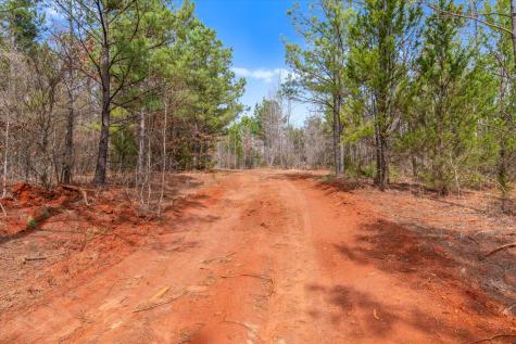 00 Fm-144 Daingerfield TX 75638