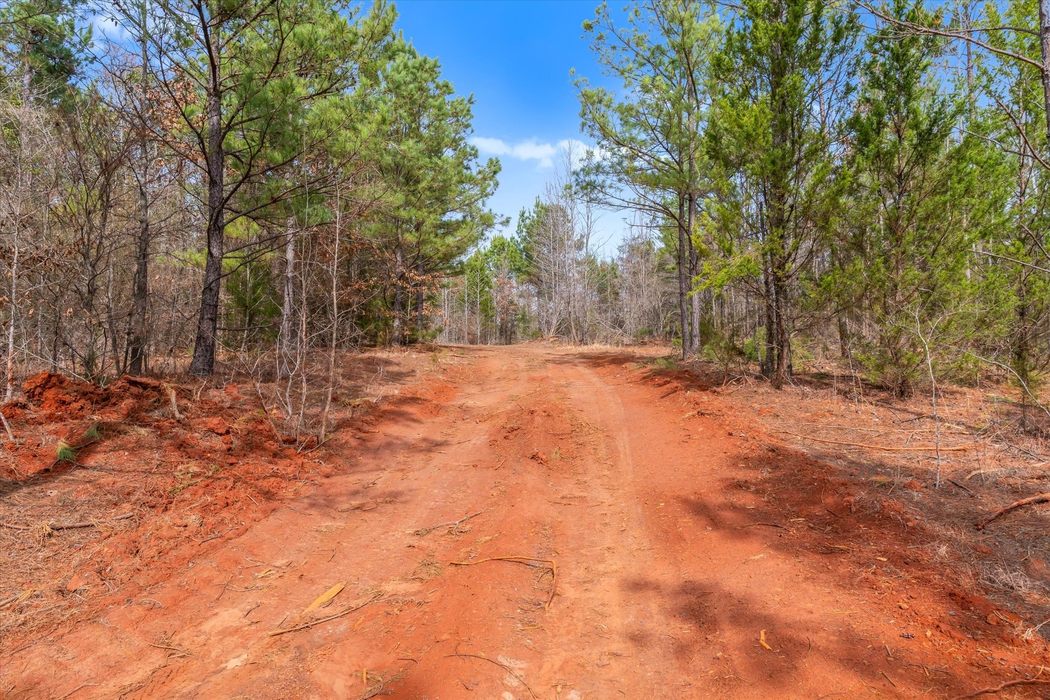 00 Fm-144 Daingerfield TX 75638