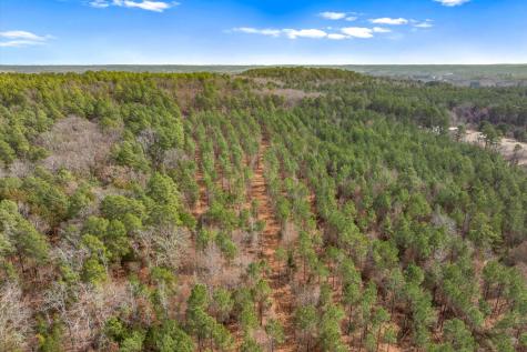 00 Fm-144 Daingerfield TX 75638