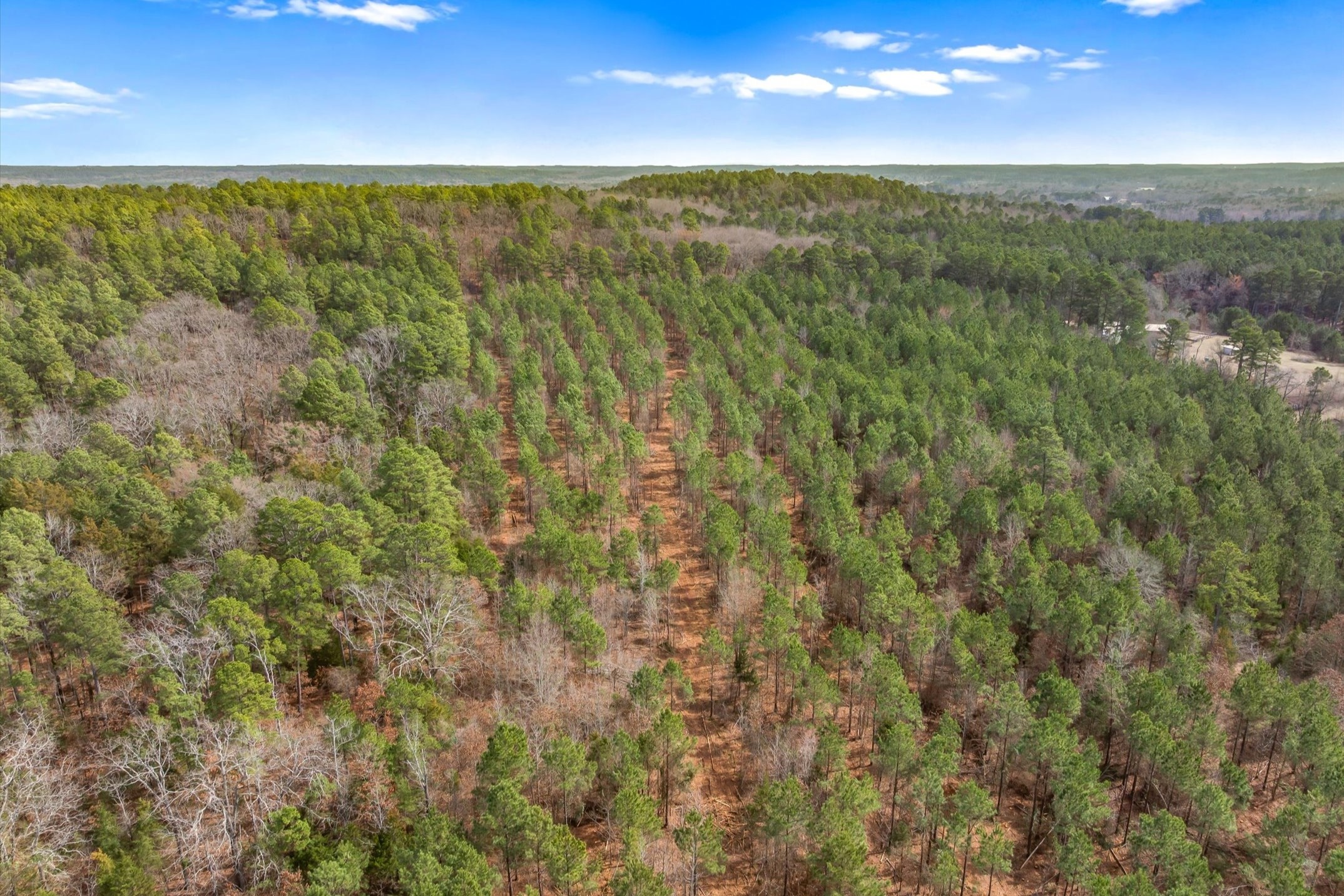00 Fm-144 Daingerfield TX 75638