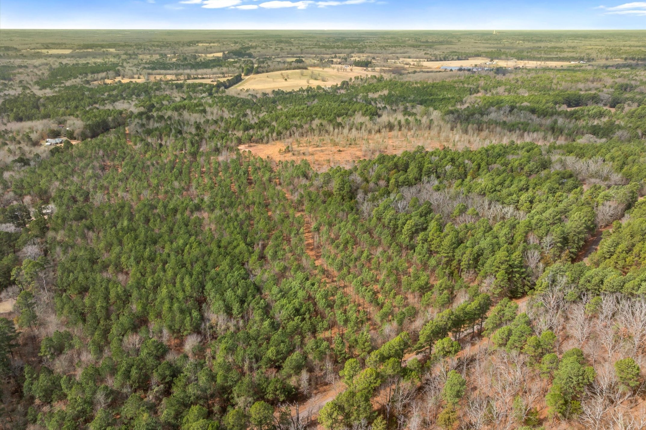 00 Fm-144 Daingerfield TX 75638