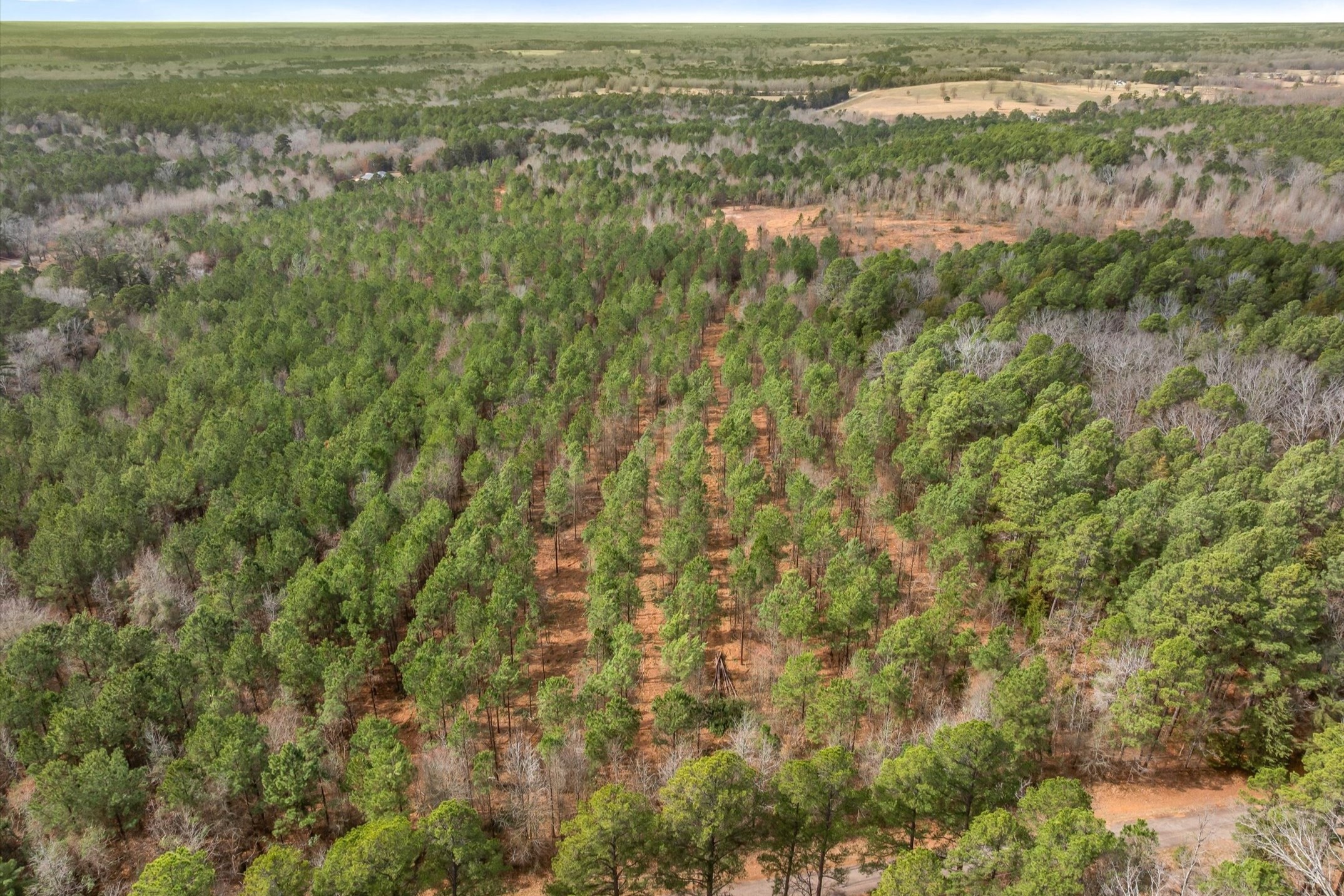 00 Fm-144 Daingerfield TX 75638