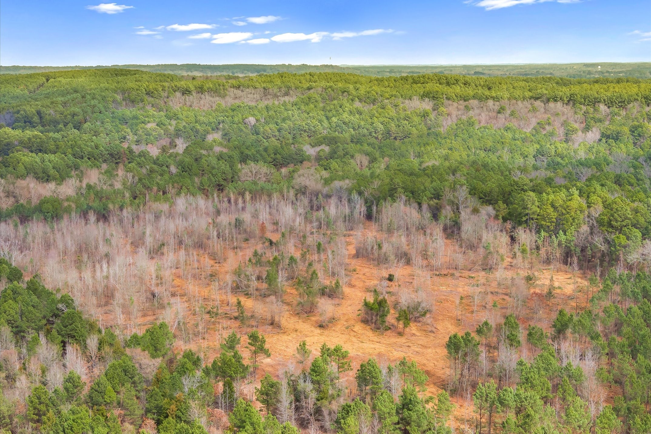 00 Fm-144 Daingerfield TX 75638