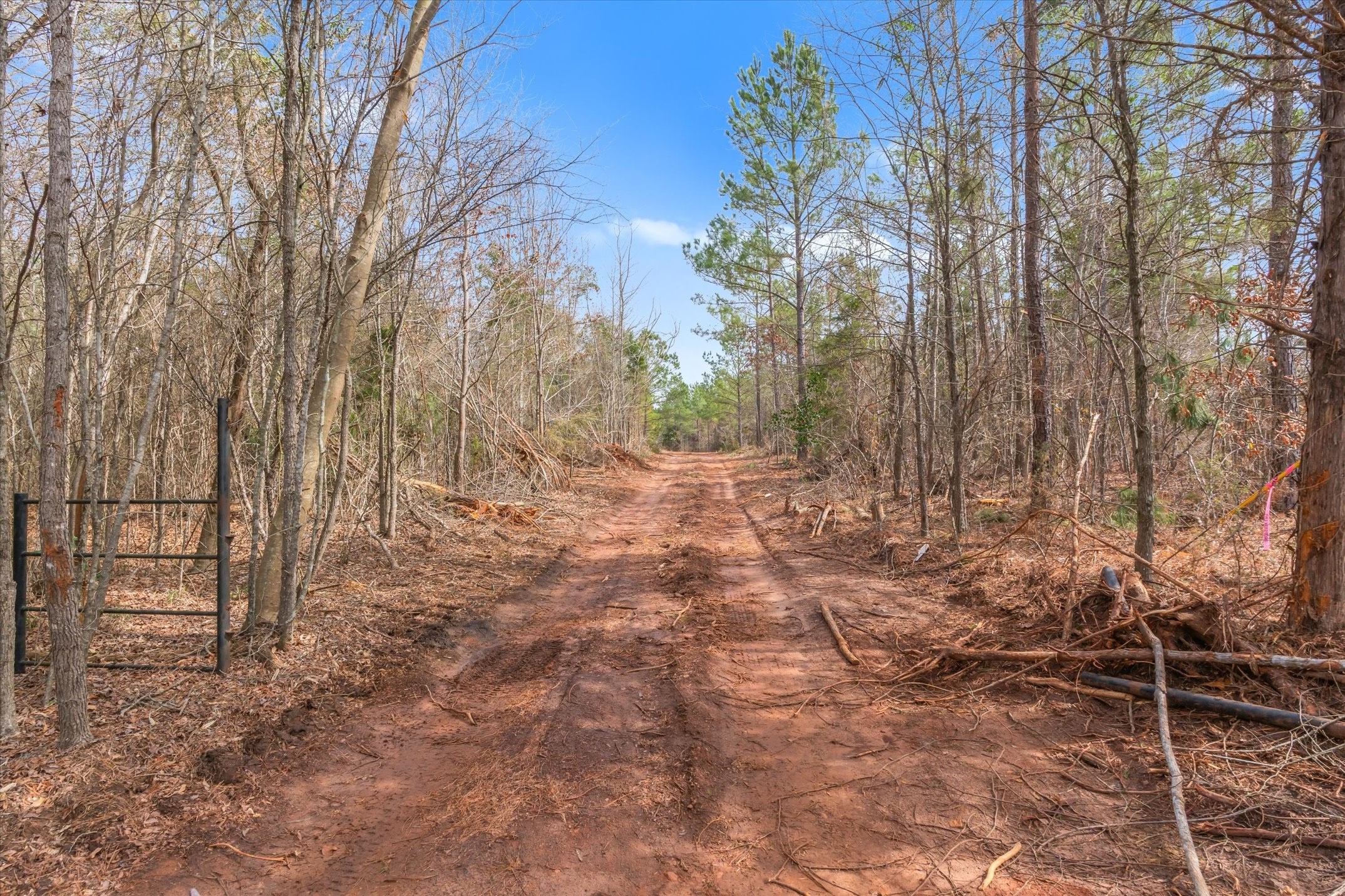 00 Fm-144 Daingerfield TX 75638