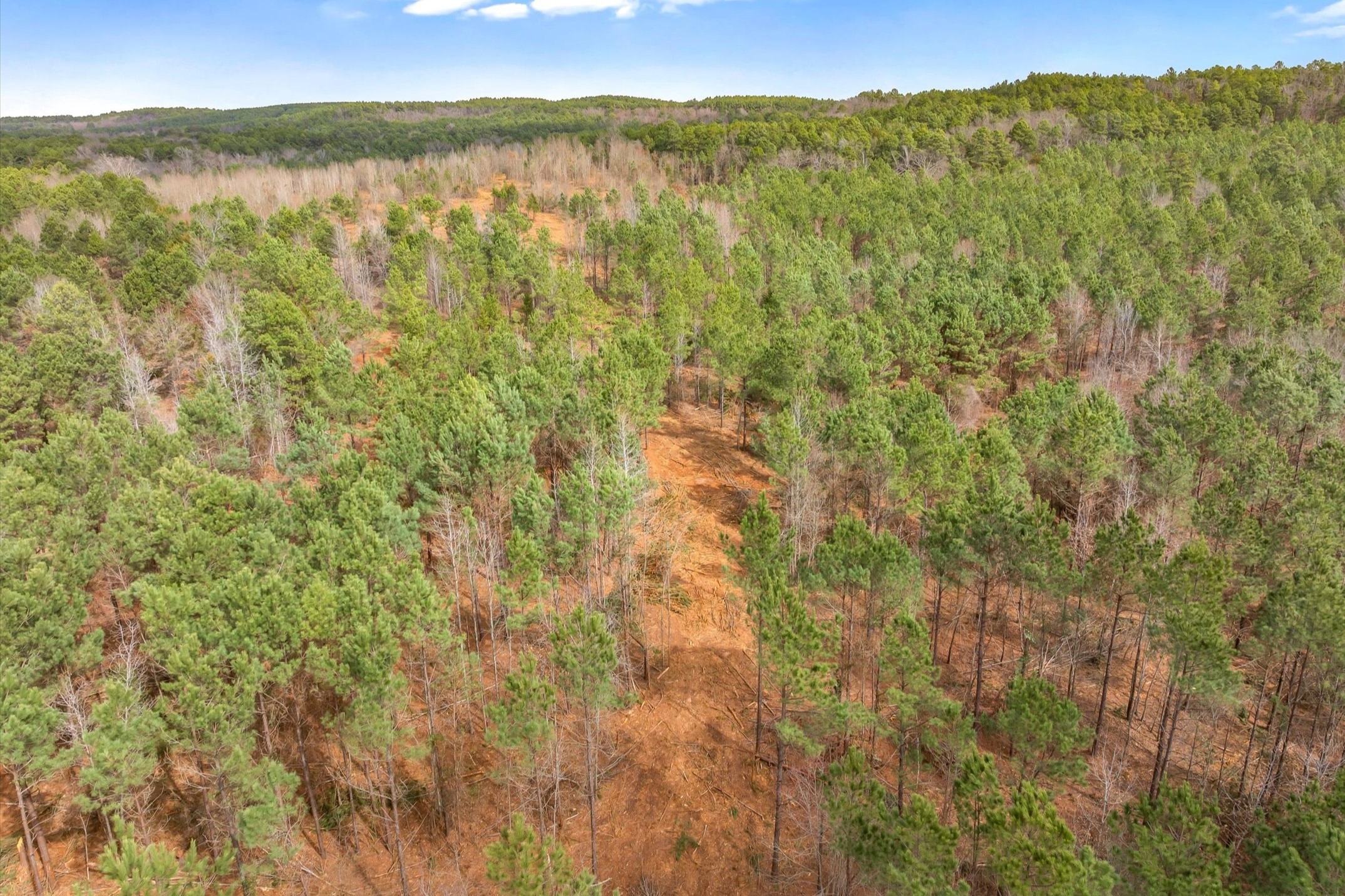 00 Fm-144 Daingerfield TX 75638