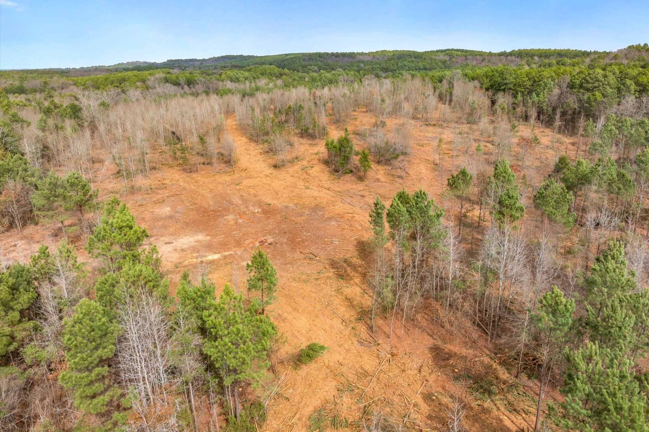 00 Fm-144 Daingerfield TX 75638