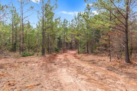 00 Fm-144 Daingerfield TX 75638