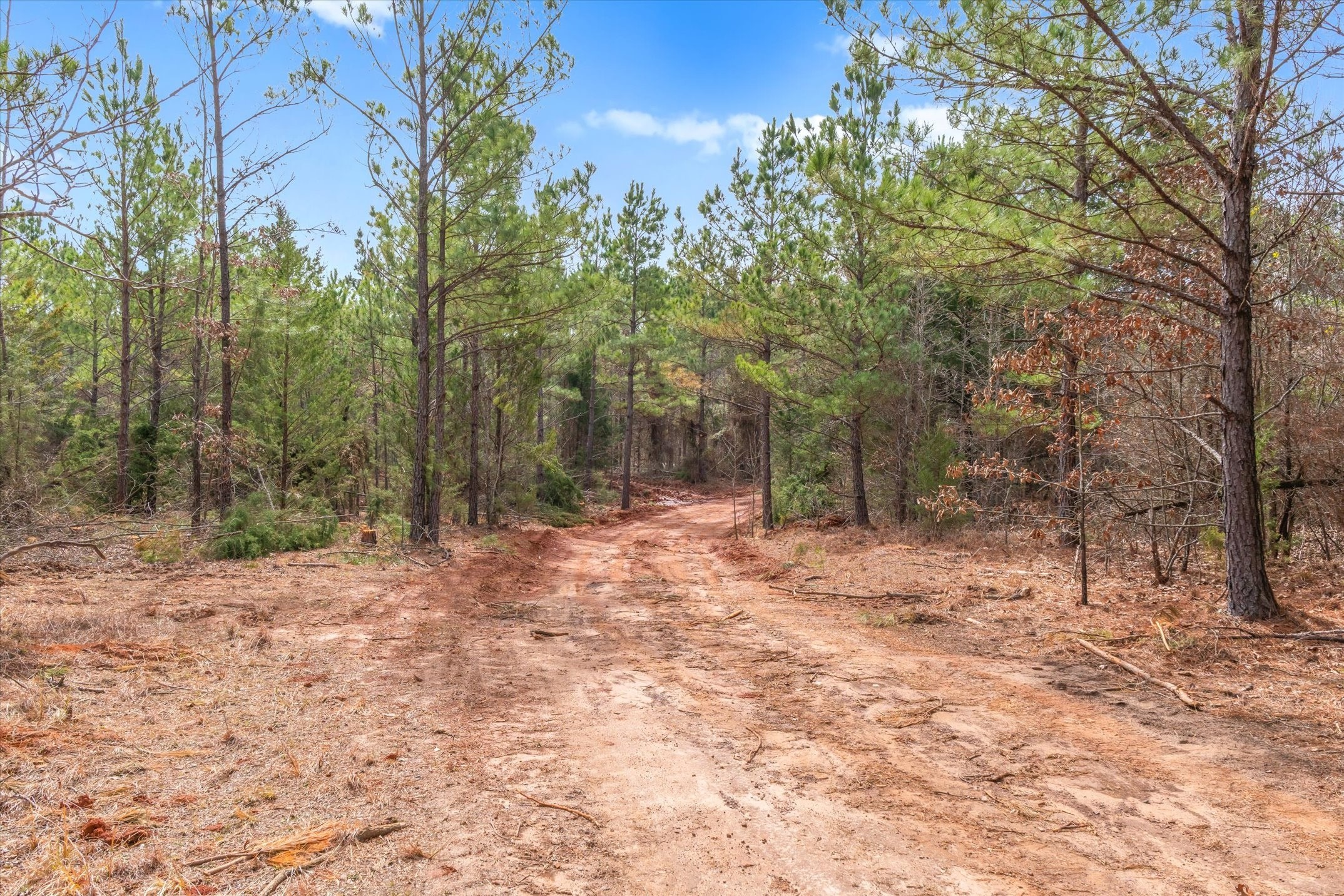 00 Fm-144 Daingerfield TX 75638