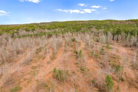 00 Fm-144 Daingerfield TX 75638