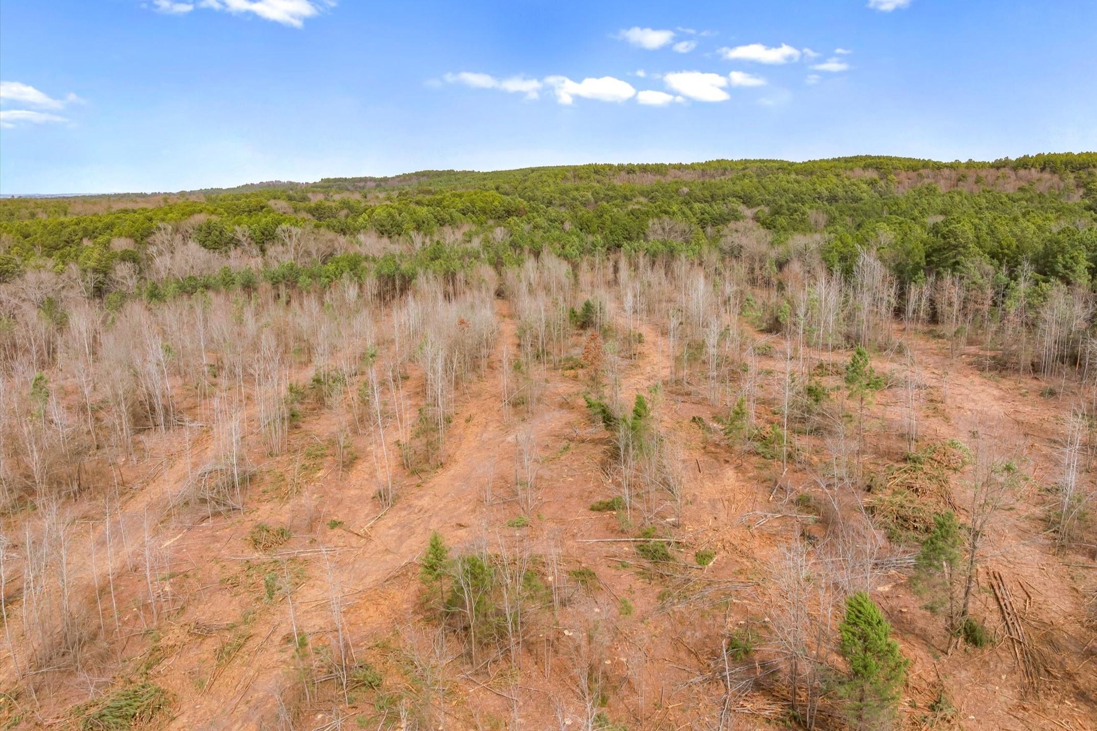 00 Fm-144 Daingerfield TX 75638