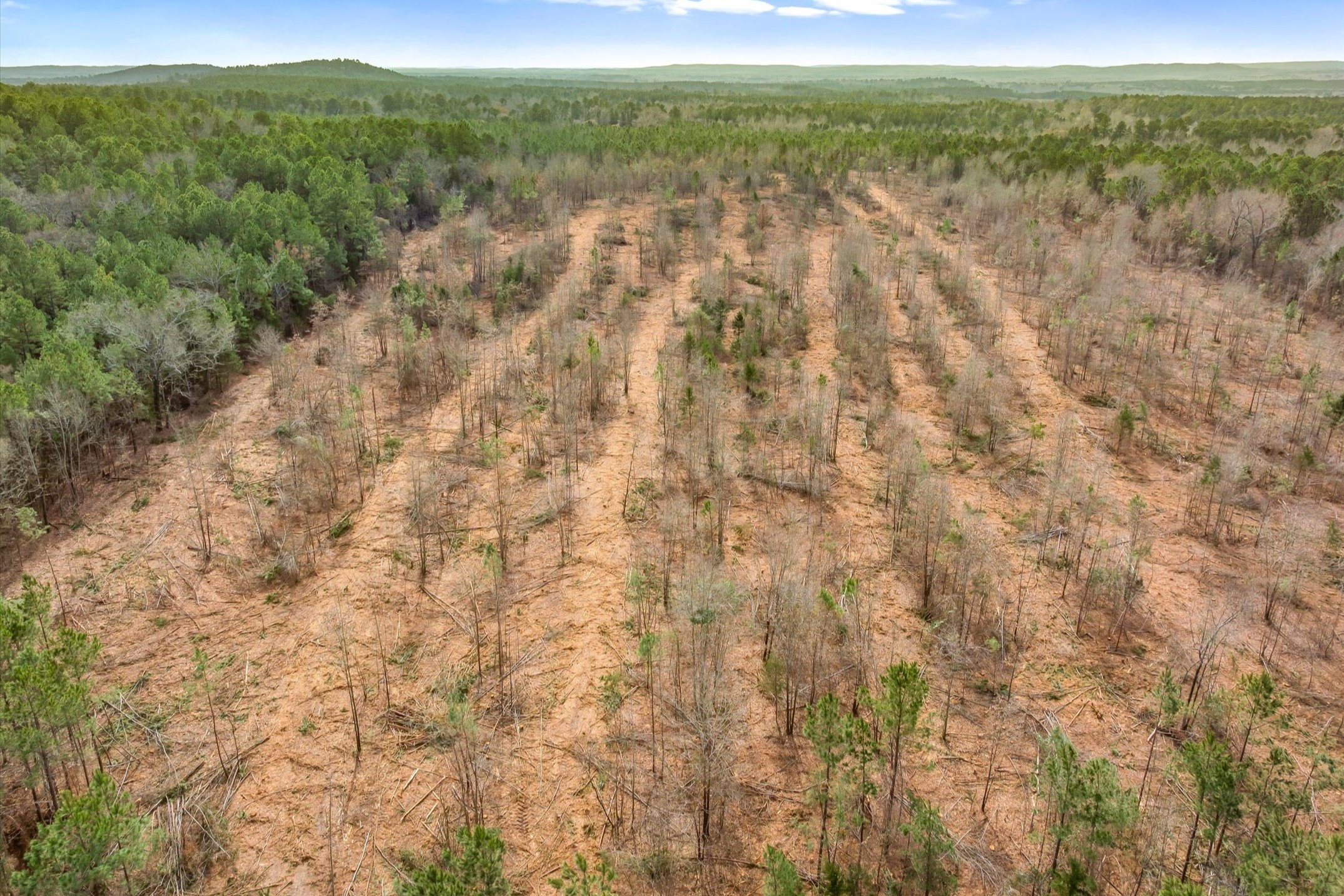 00 Fm-144 Daingerfield TX 75638