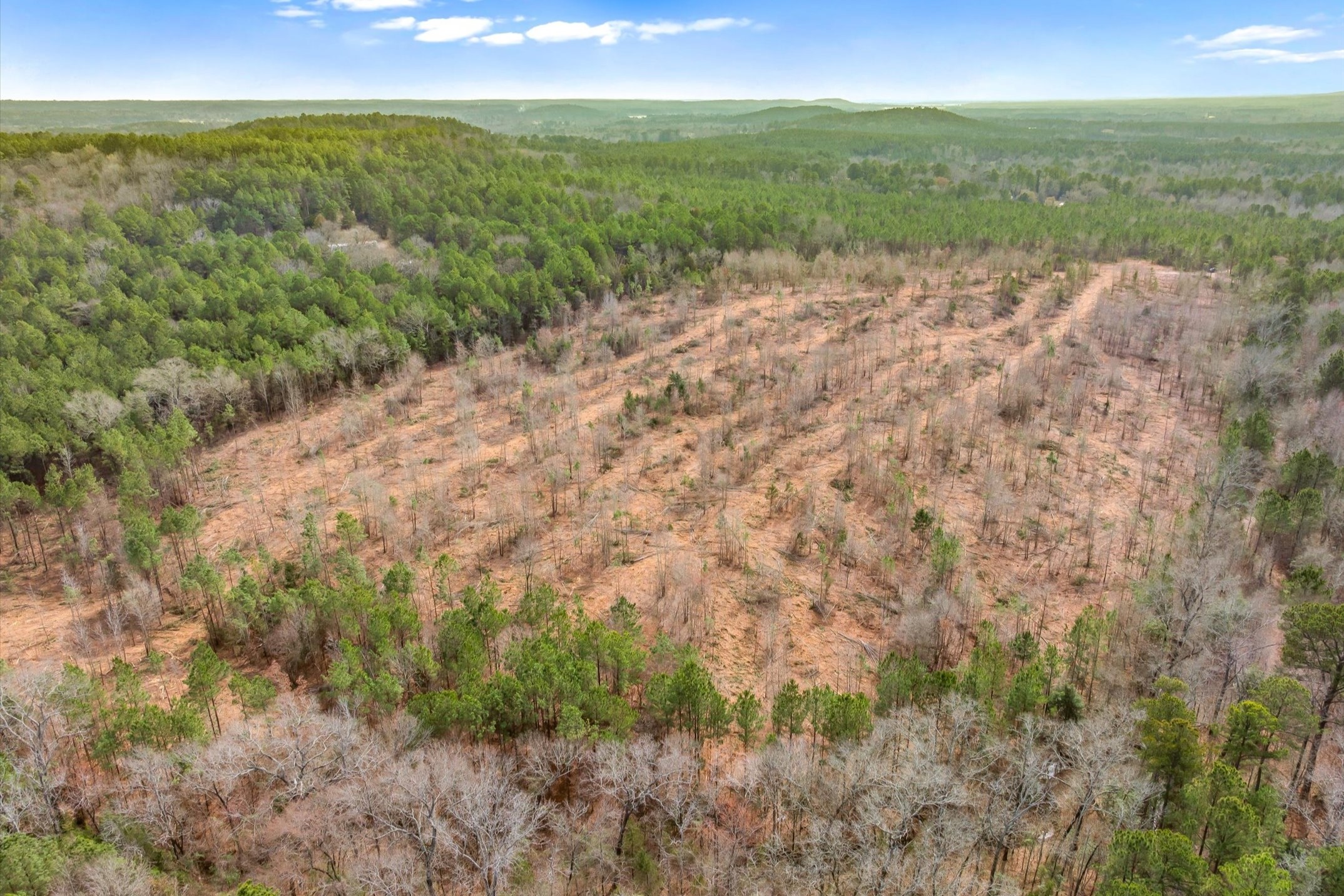 00 Fm-144 Daingerfield TX 75638