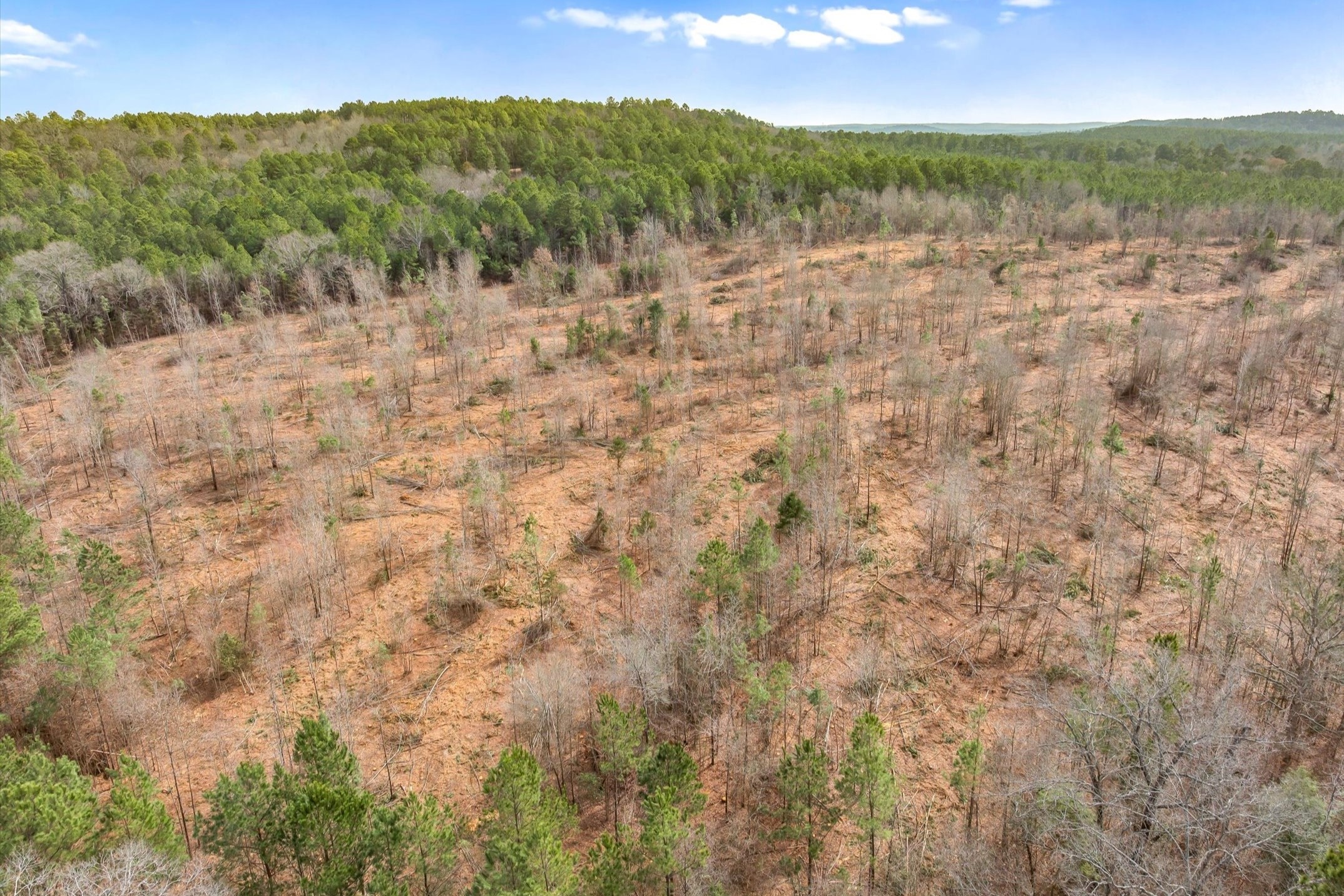 00 Fm-144 Daingerfield TX 75638