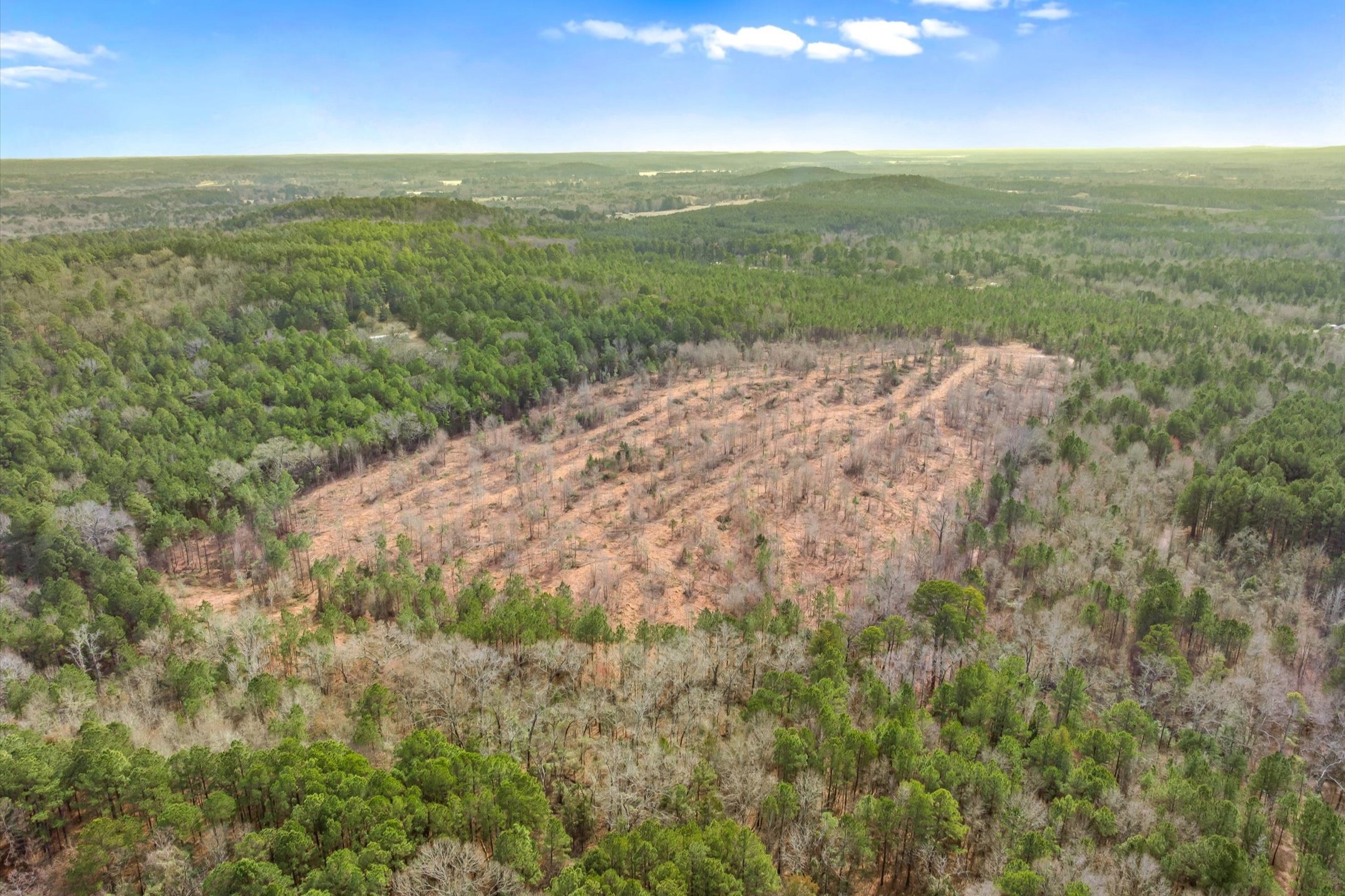 00 Fm-144 Daingerfield TX 75638