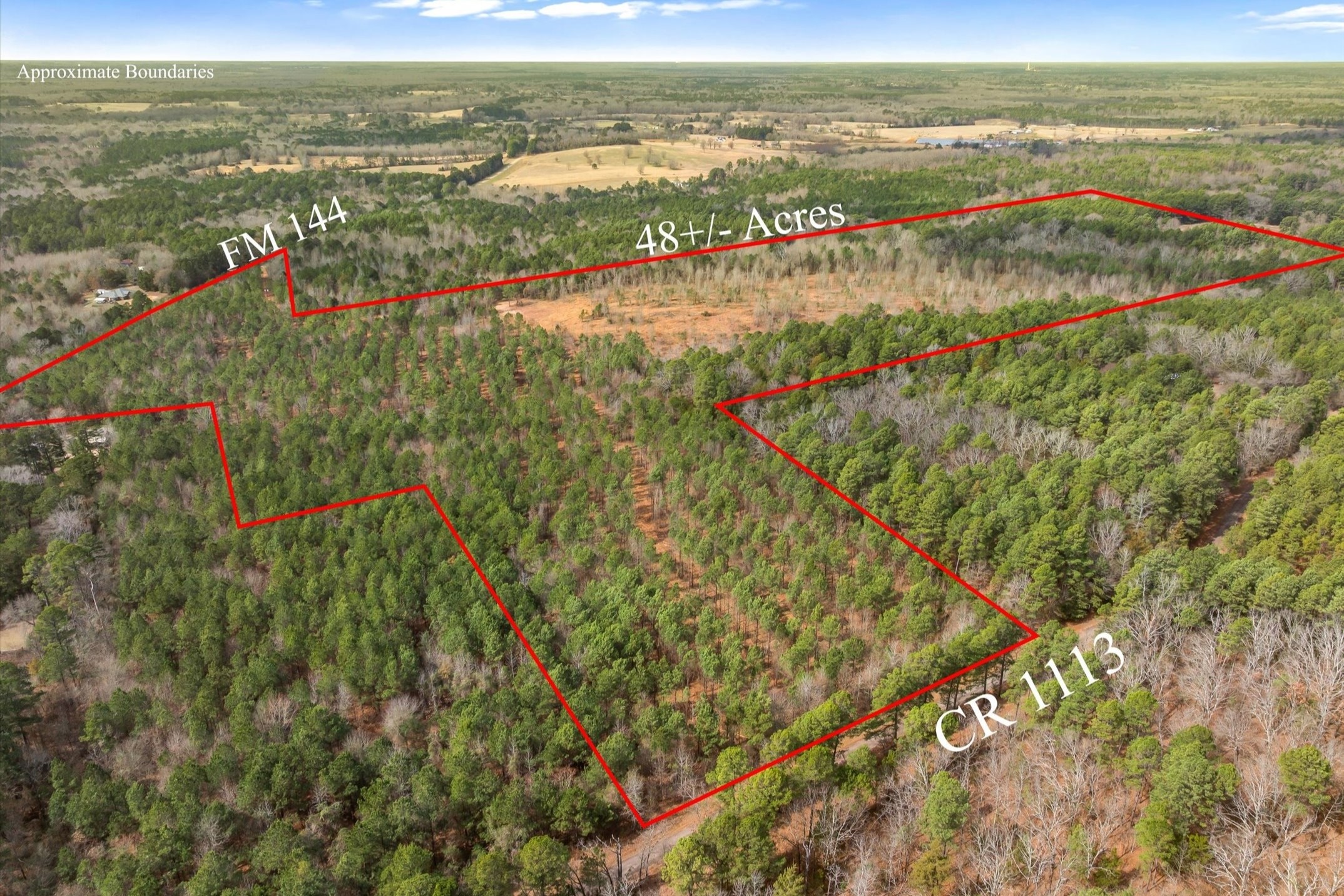00 Fm-144 Daingerfield TX 75638