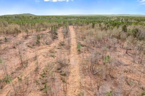 00 Fm-144 Daingerfield TX 75638