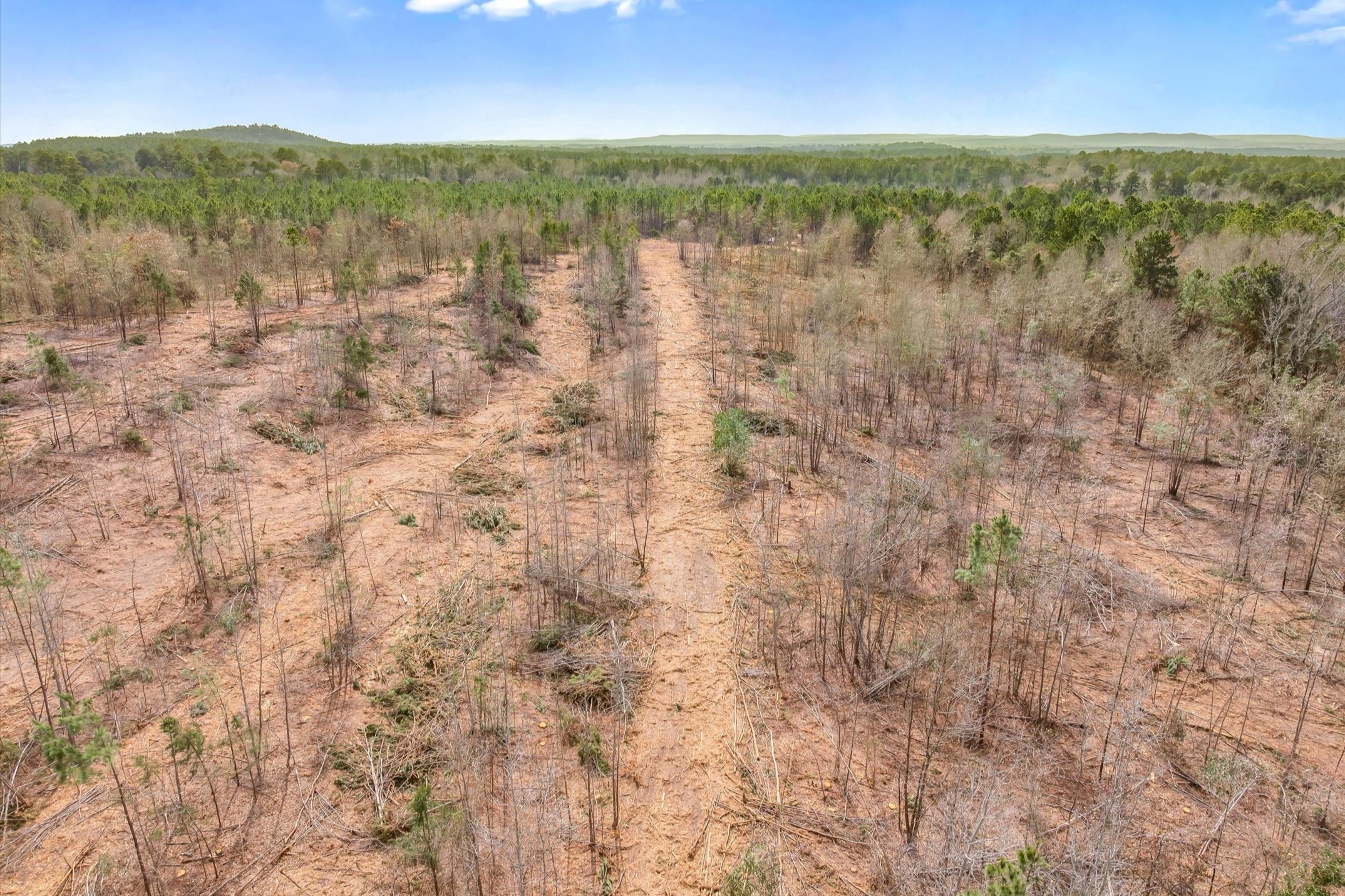 00 Fm-144 Daingerfield TX 75638