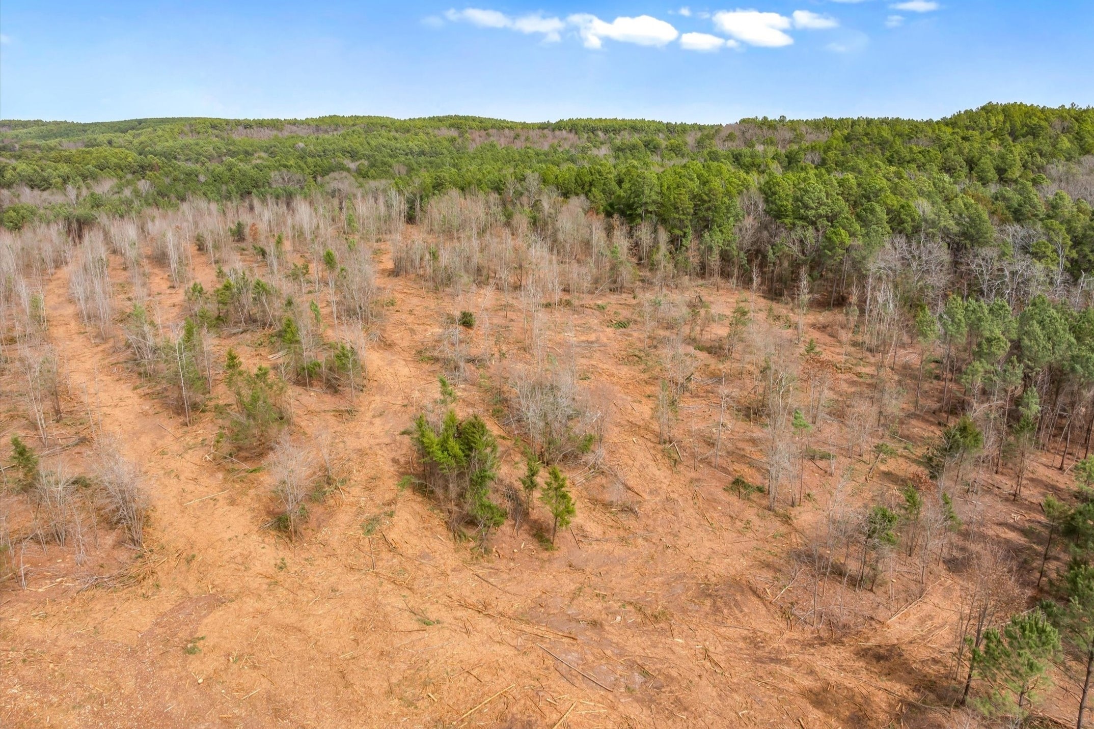 00 Fm-144 Daingerfield TX 75638