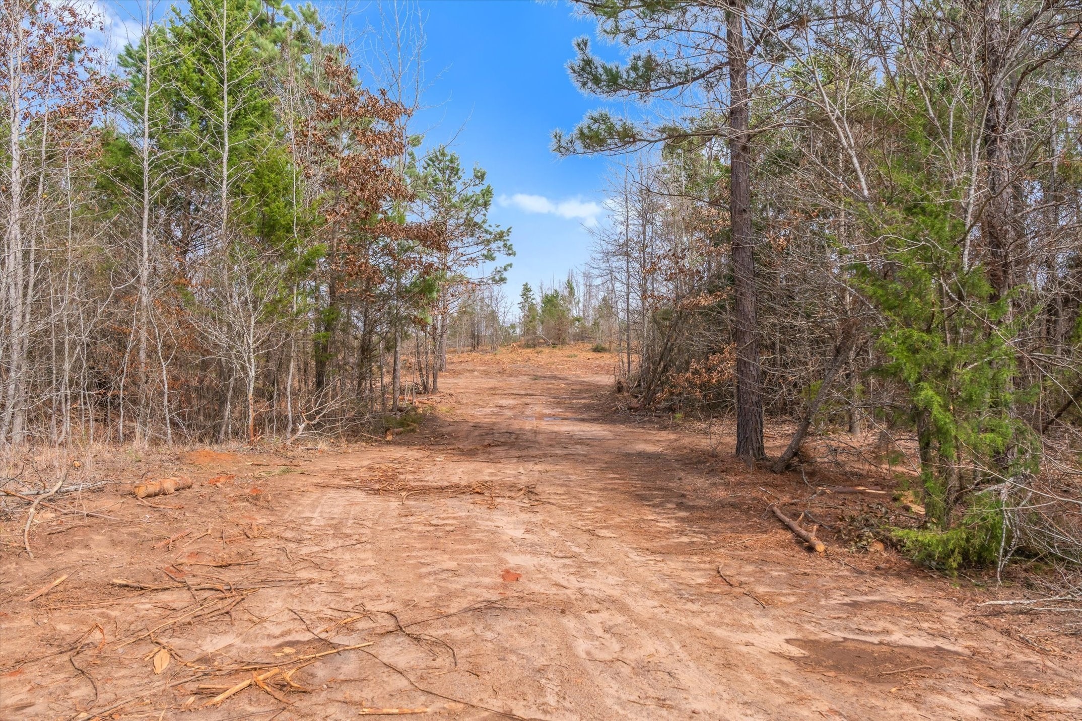 00 Fm-144 Daingerfield TX 75638